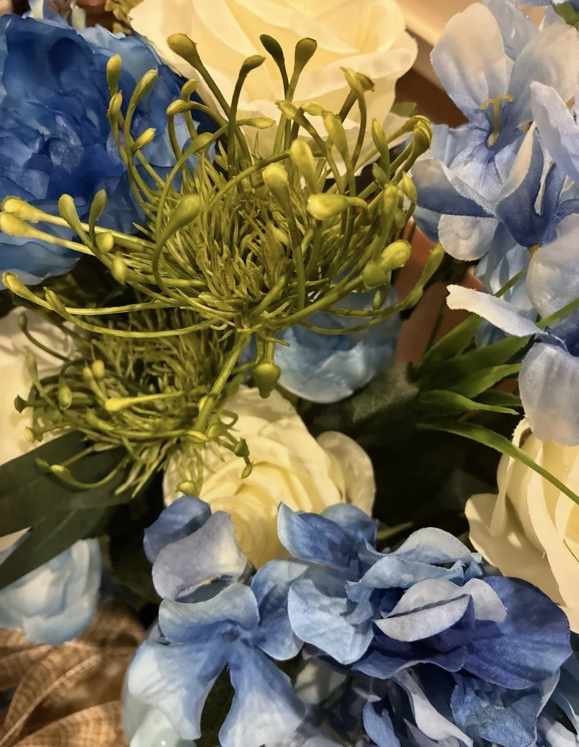 IMG_7932.jpeg