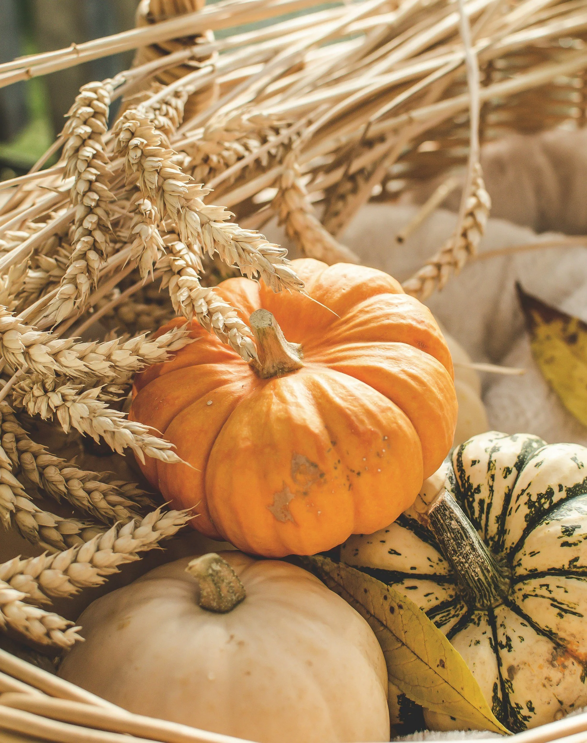 Fall Fest