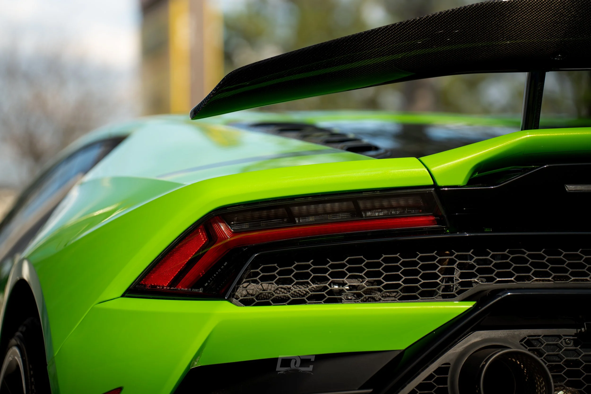 A7408080-Enhanced-NR.JPG