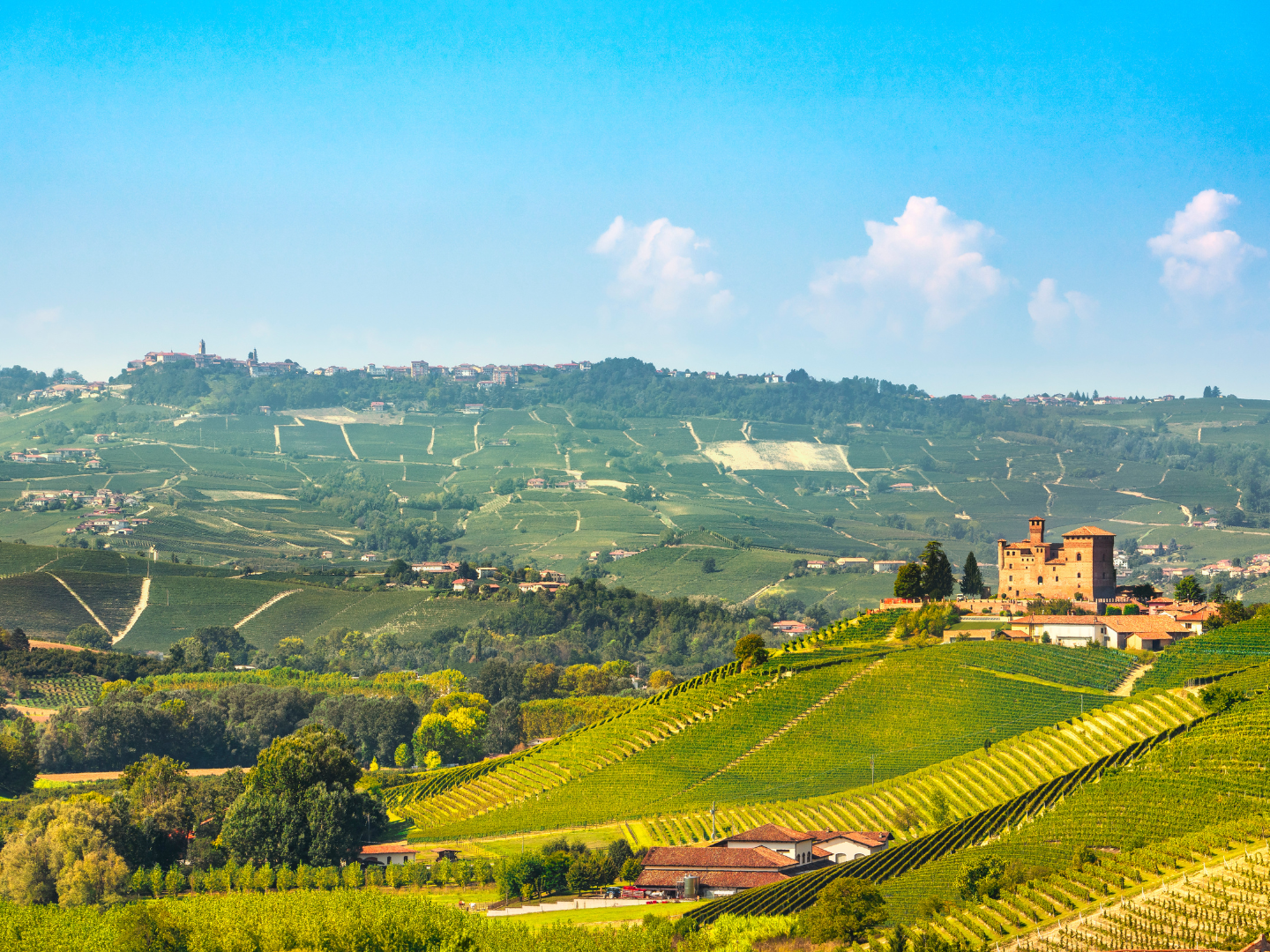 Travelling Italy Series: Alba (Piemonte) Regional Dinner