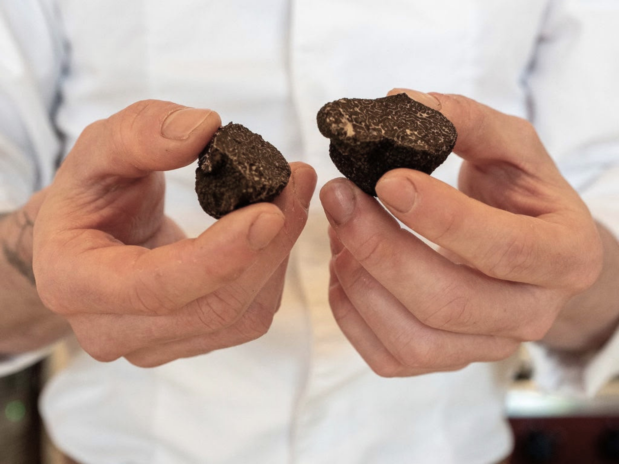 Chef's hands holding fresh winter truffles at Chiosco, now available for a limited time.