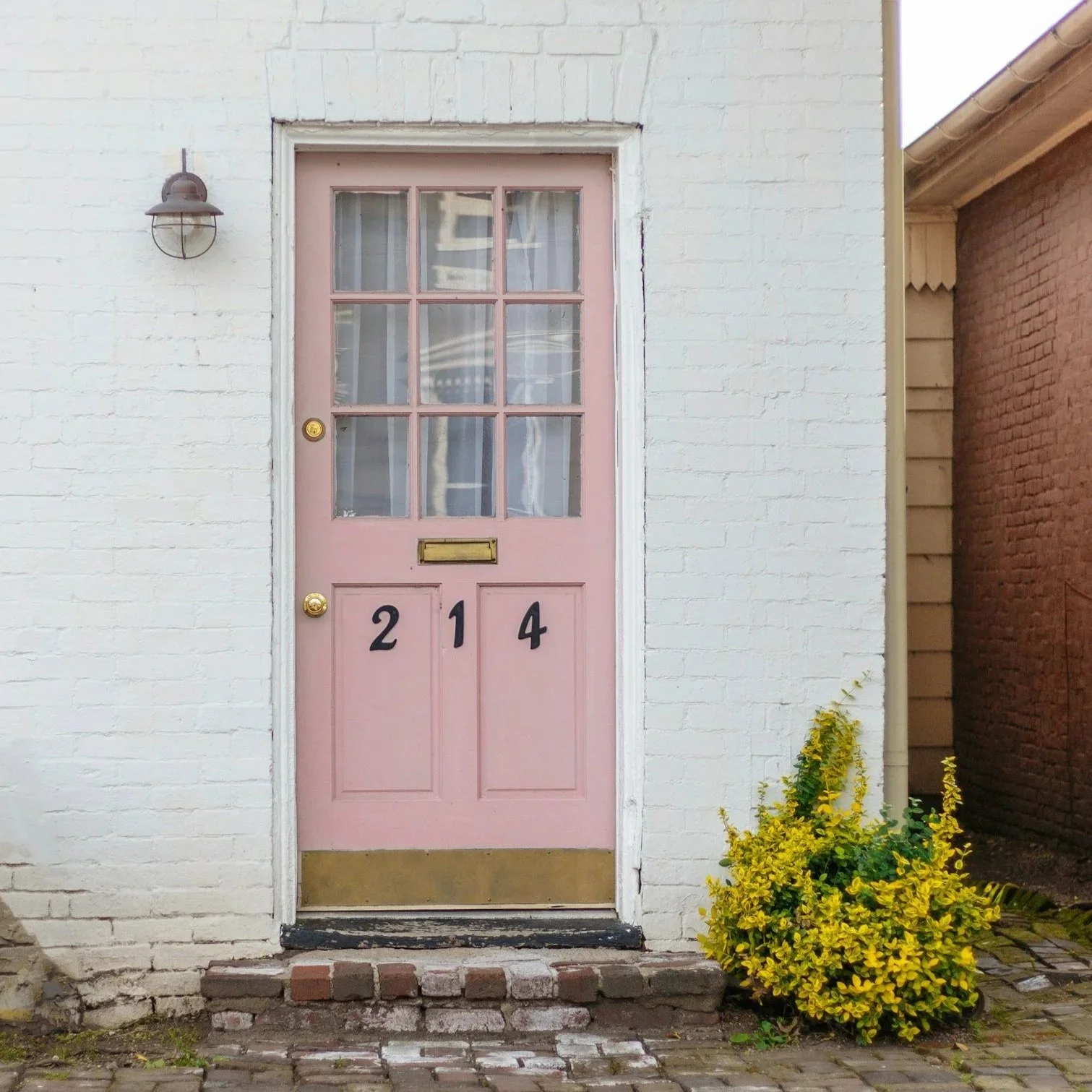 Pink front door with nine glass panes and house number 214 in black, set in a white brick wall with a black light above and a small plant with yellow flowers to the right.