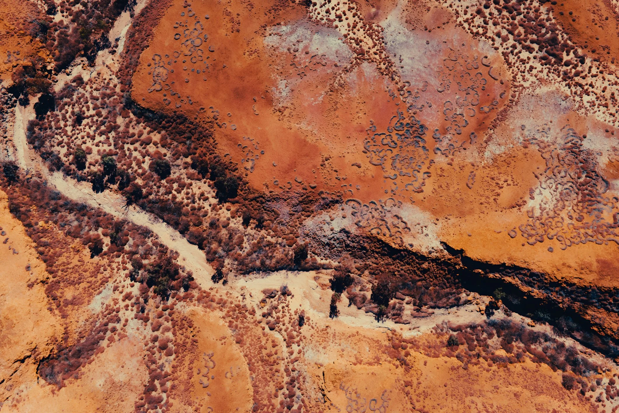An ingredient source of Future-Proof skincare - Australian outback, where native plants survive heat, UV and drought.