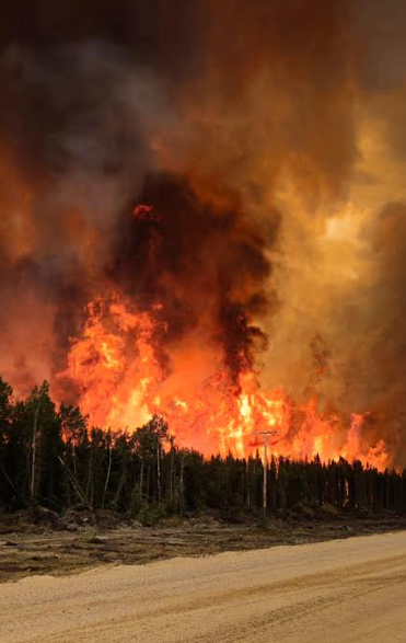 Black Line Integrated Tactical Solutions Group logo representing elite wildfire response, emergency deployment, and tactical support services in Canada.