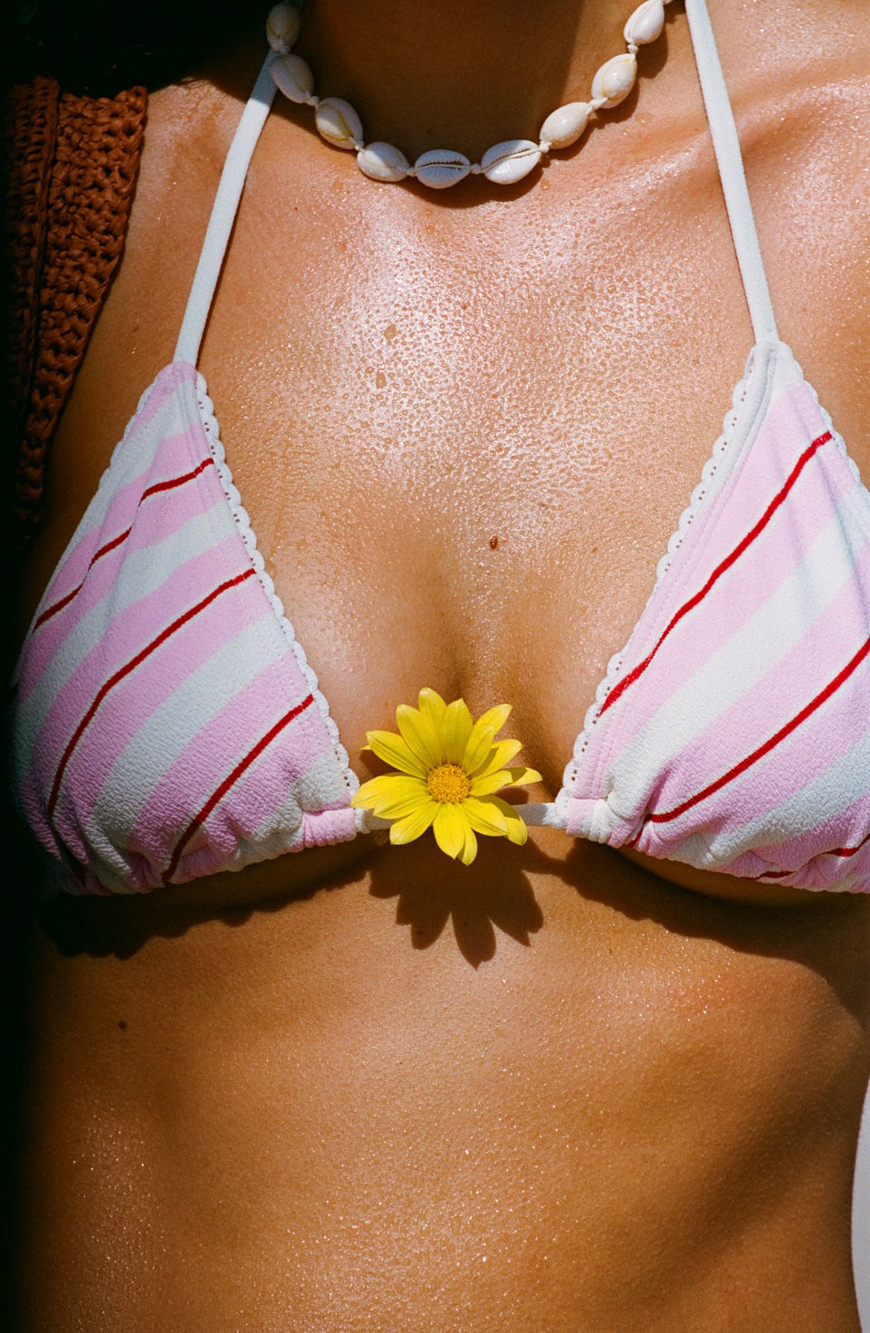 010051220008_7A.Cotton-On-Web.png