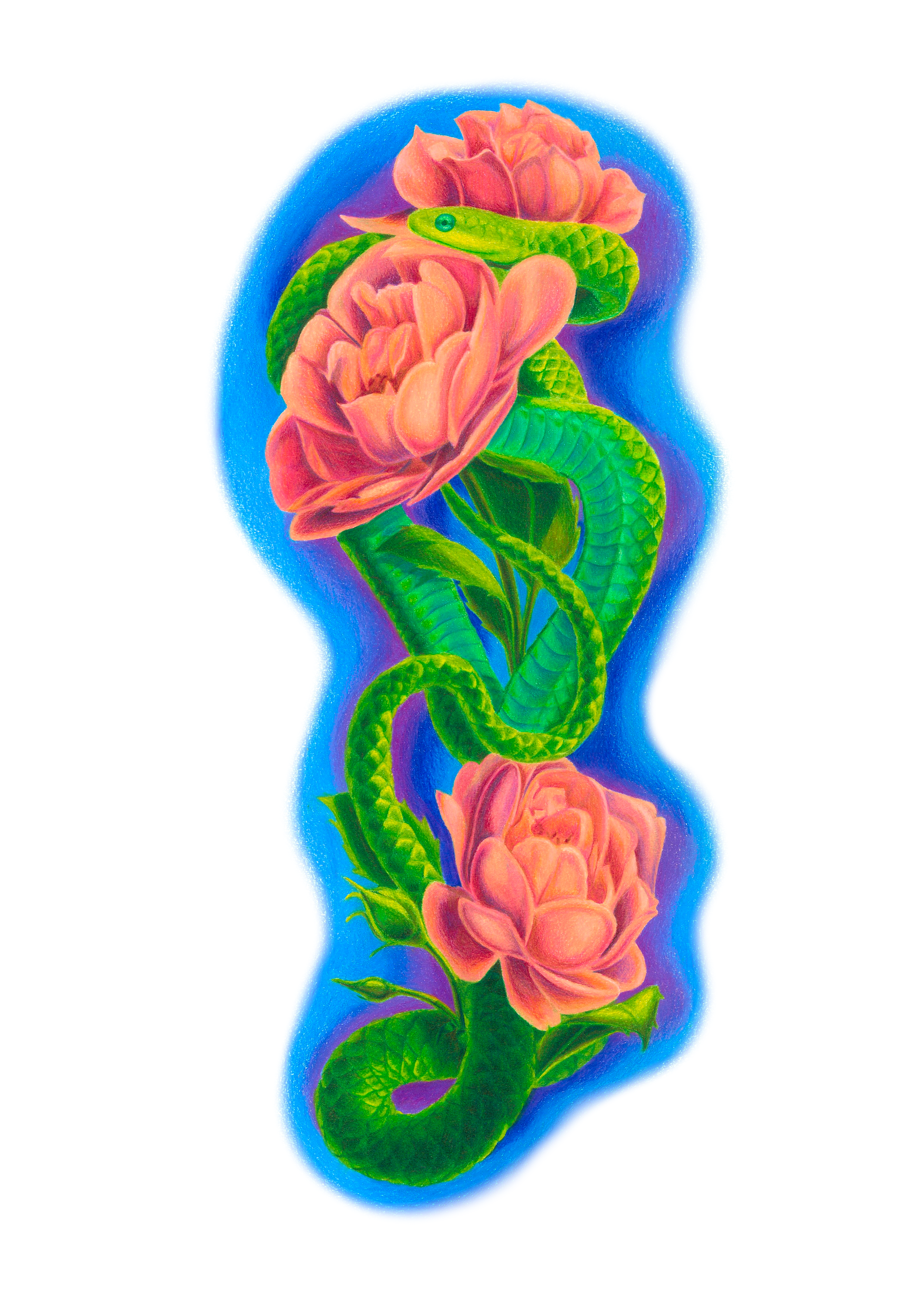 Snake-Flower-Large scale-001.png