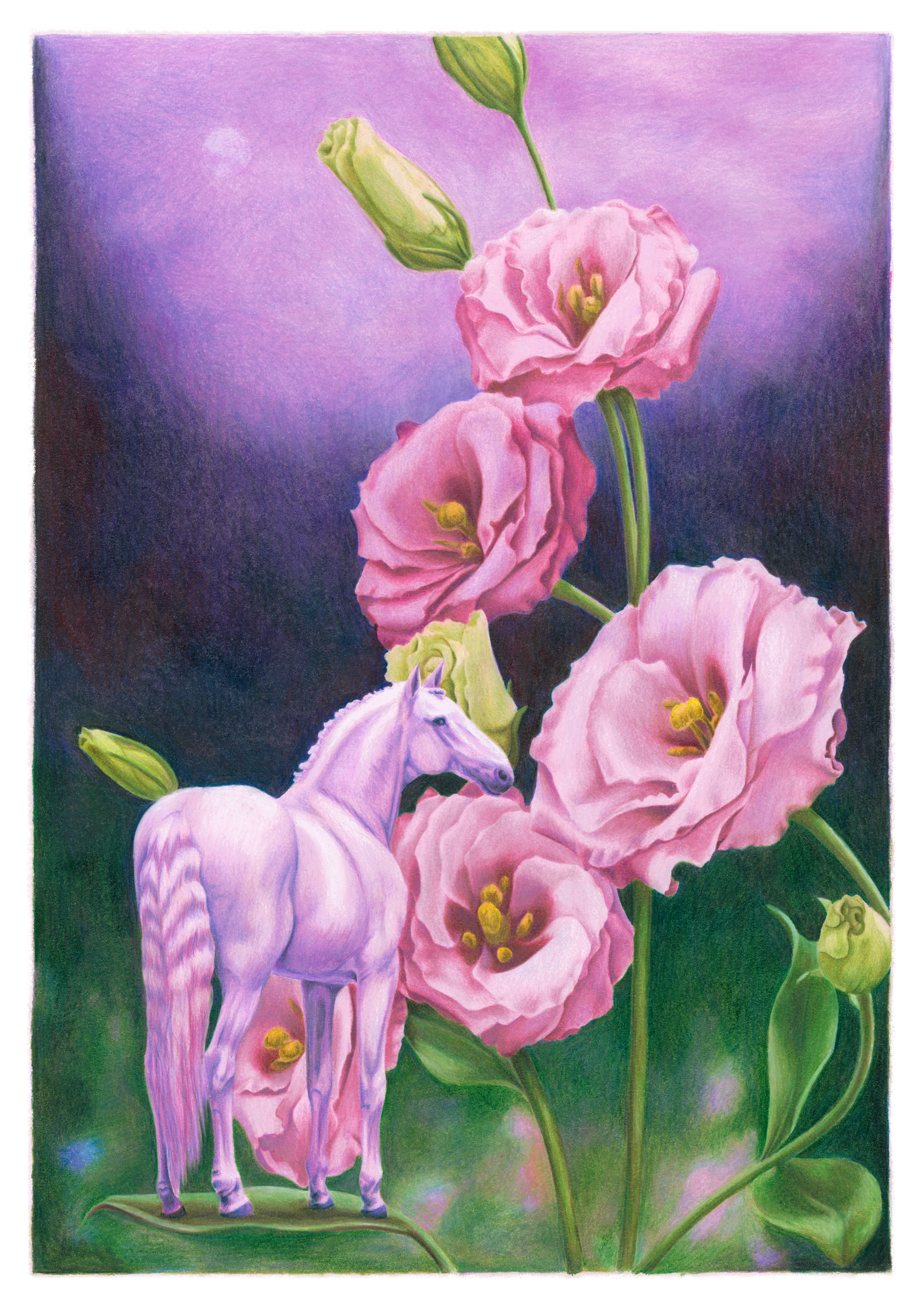 Horse Flower - 002 - SMALL.png