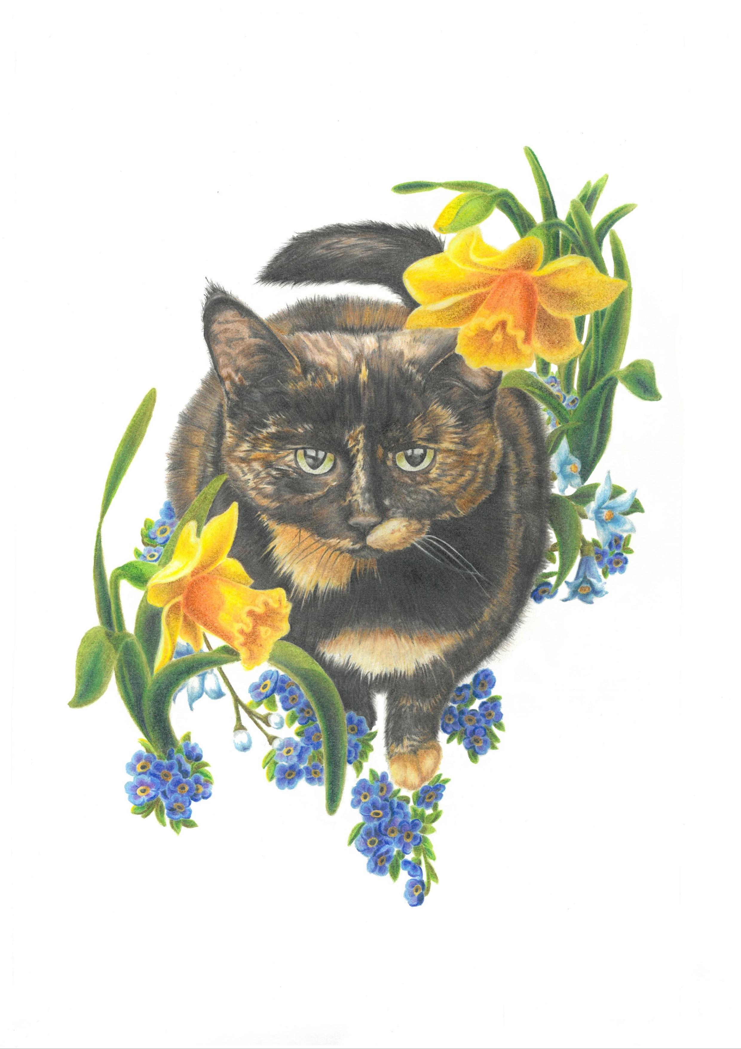 Clemmy-FA-Micaelie Thomas.png