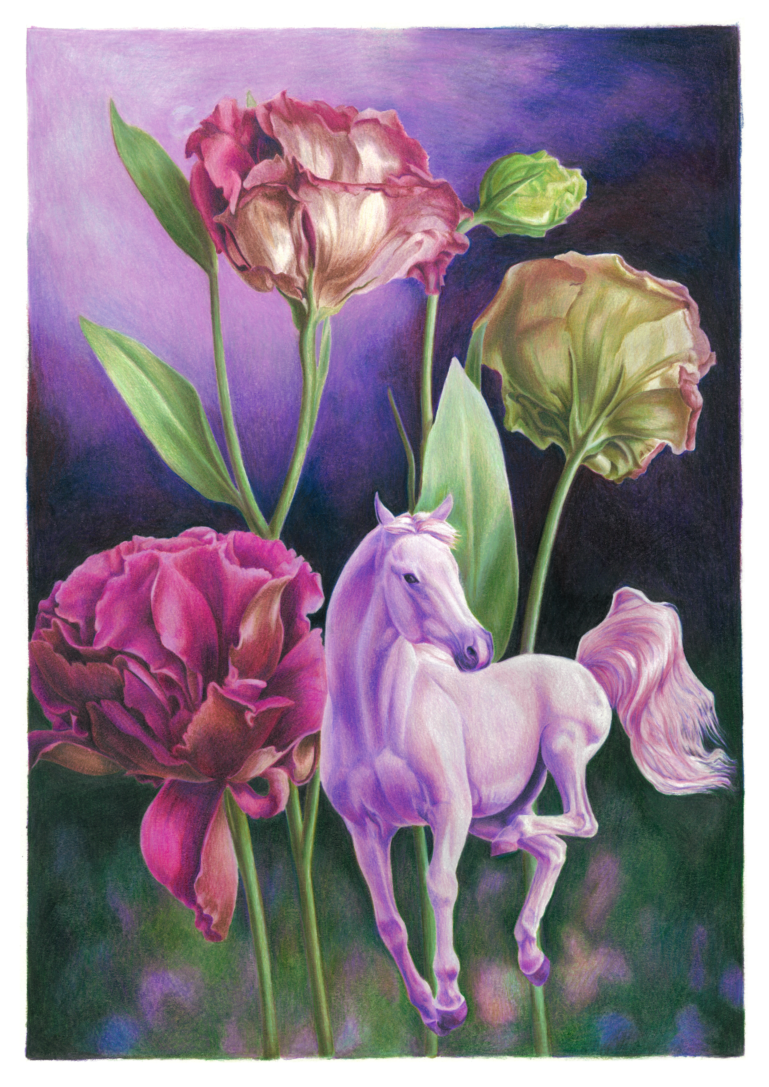 Horse Flower - 003 - SMALL.png