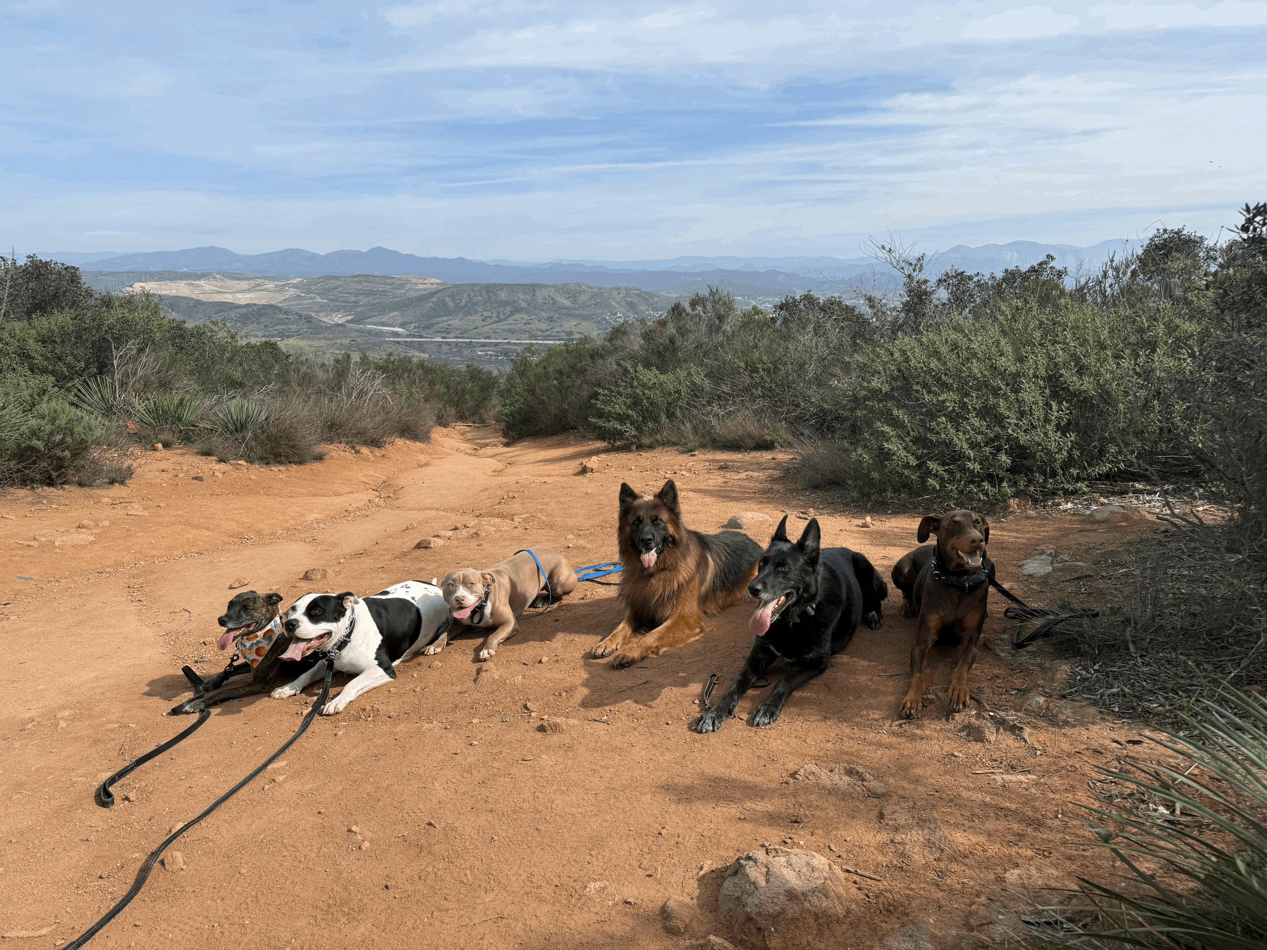 ADVANCED GROUP CLASS