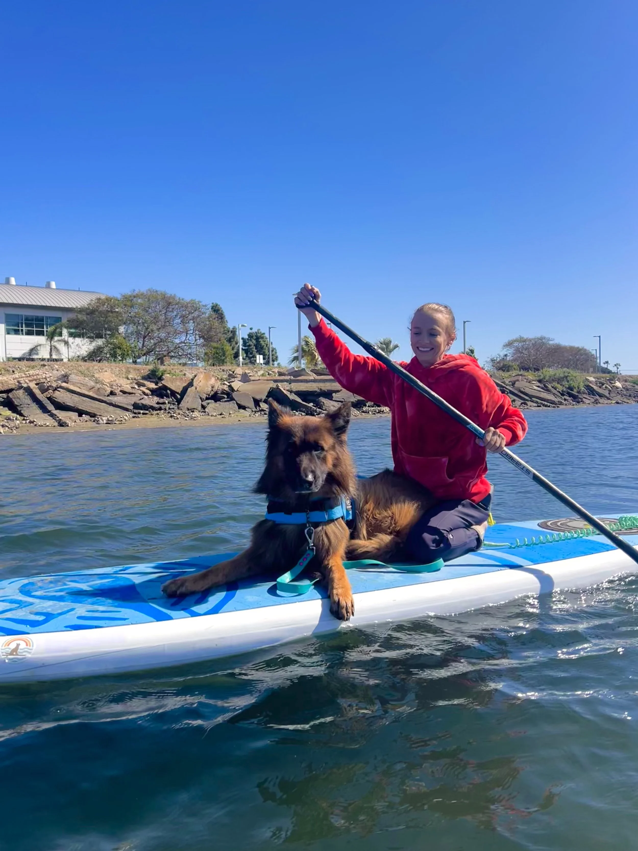 A woman and a dog on a paddleboard in a body of water under a clear blue sky, with trees and buildings in the background.