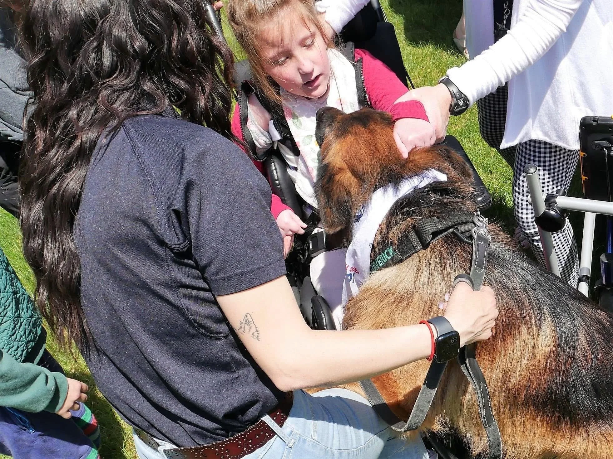 A girl with red hair in a wheelchair interacting with a dog supported by multiple people outside on the grass.