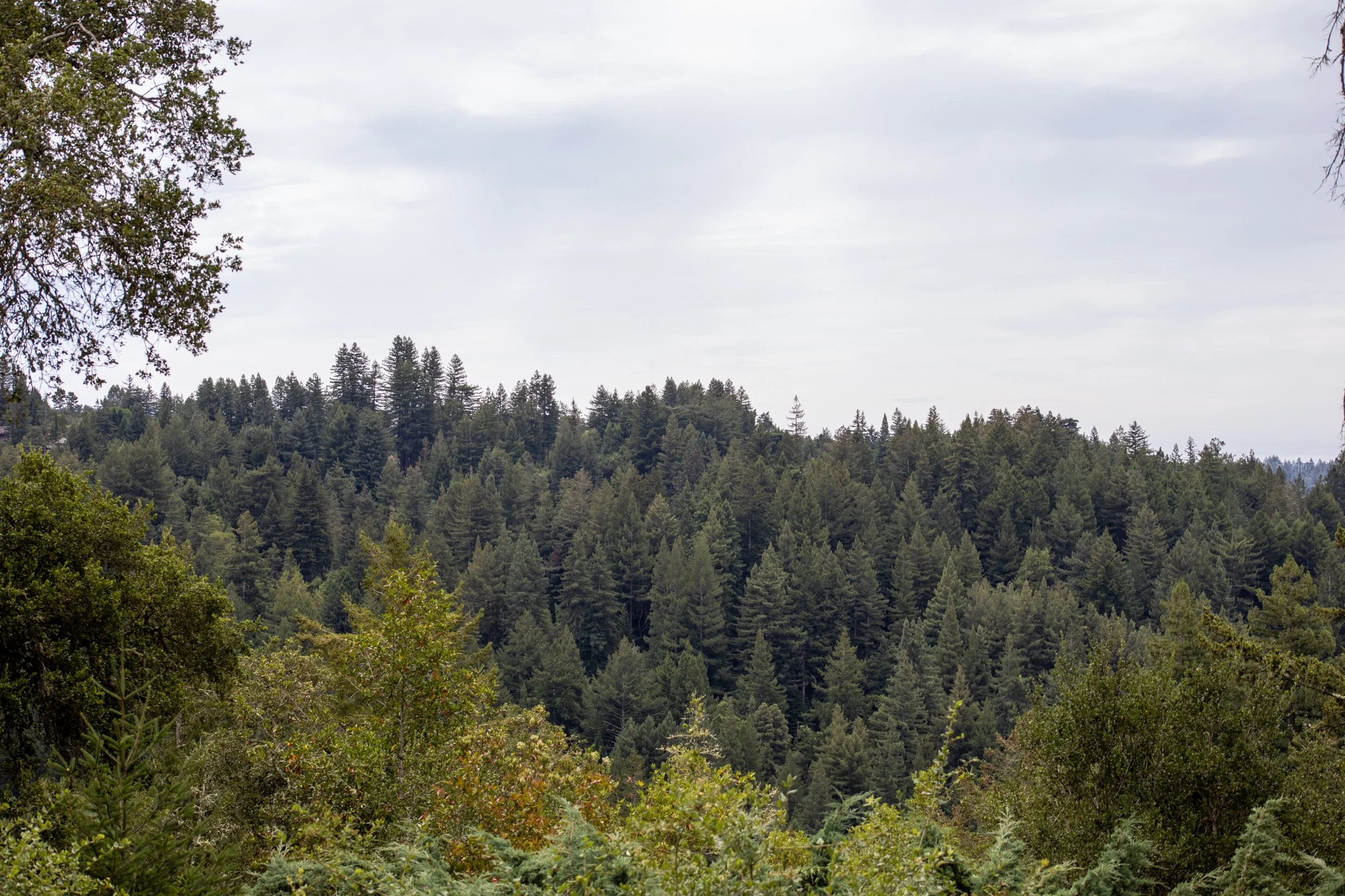 Skyview_Matt_Anello-1169-MLS.jpg