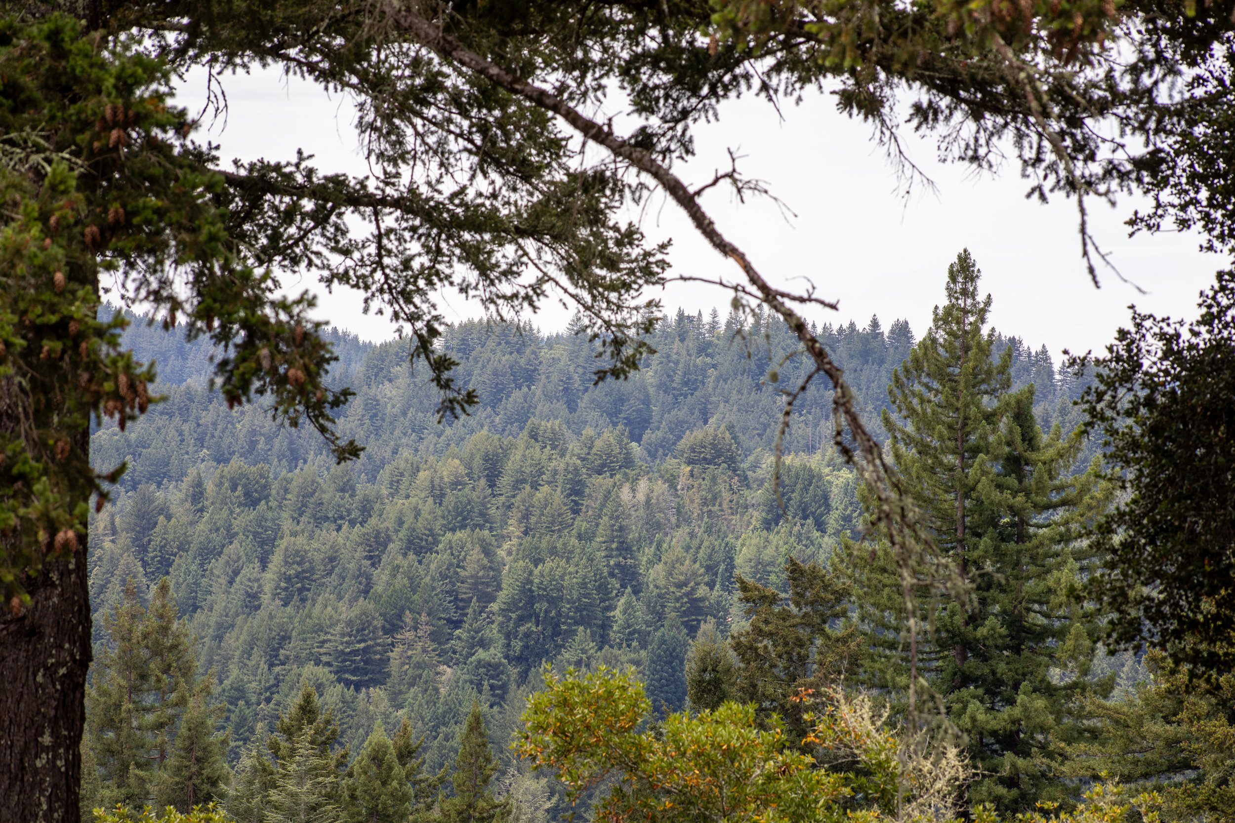 Skyview_Matt_Anello-1168-MLS.jpg