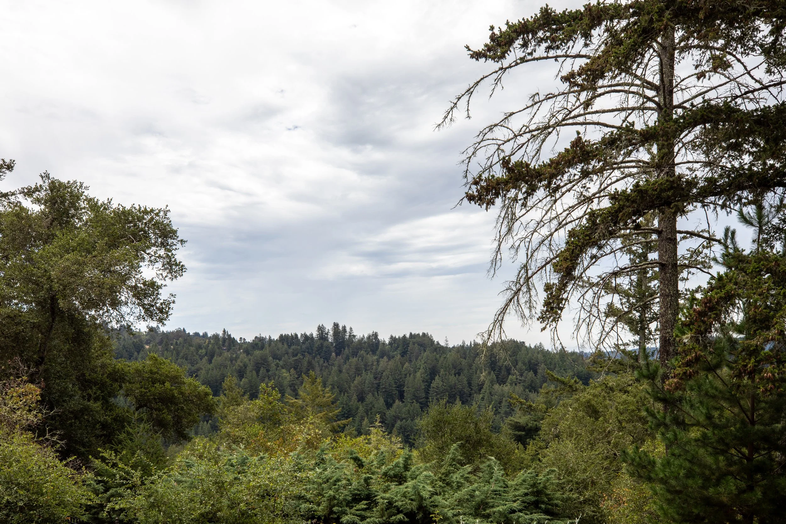 Skyview_Matt_Anello-1031-MLS.jpg