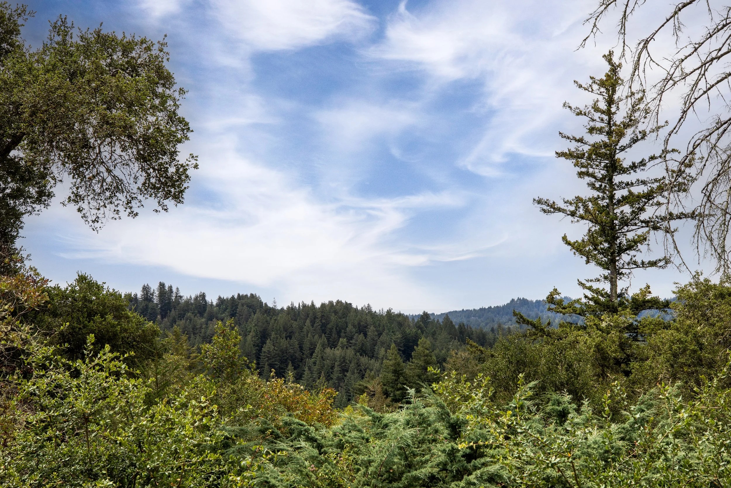 Skyview_Matt_Anello-1041-MLS.jpg