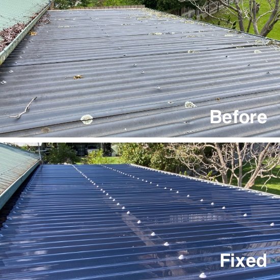 Polycarbonate Roof