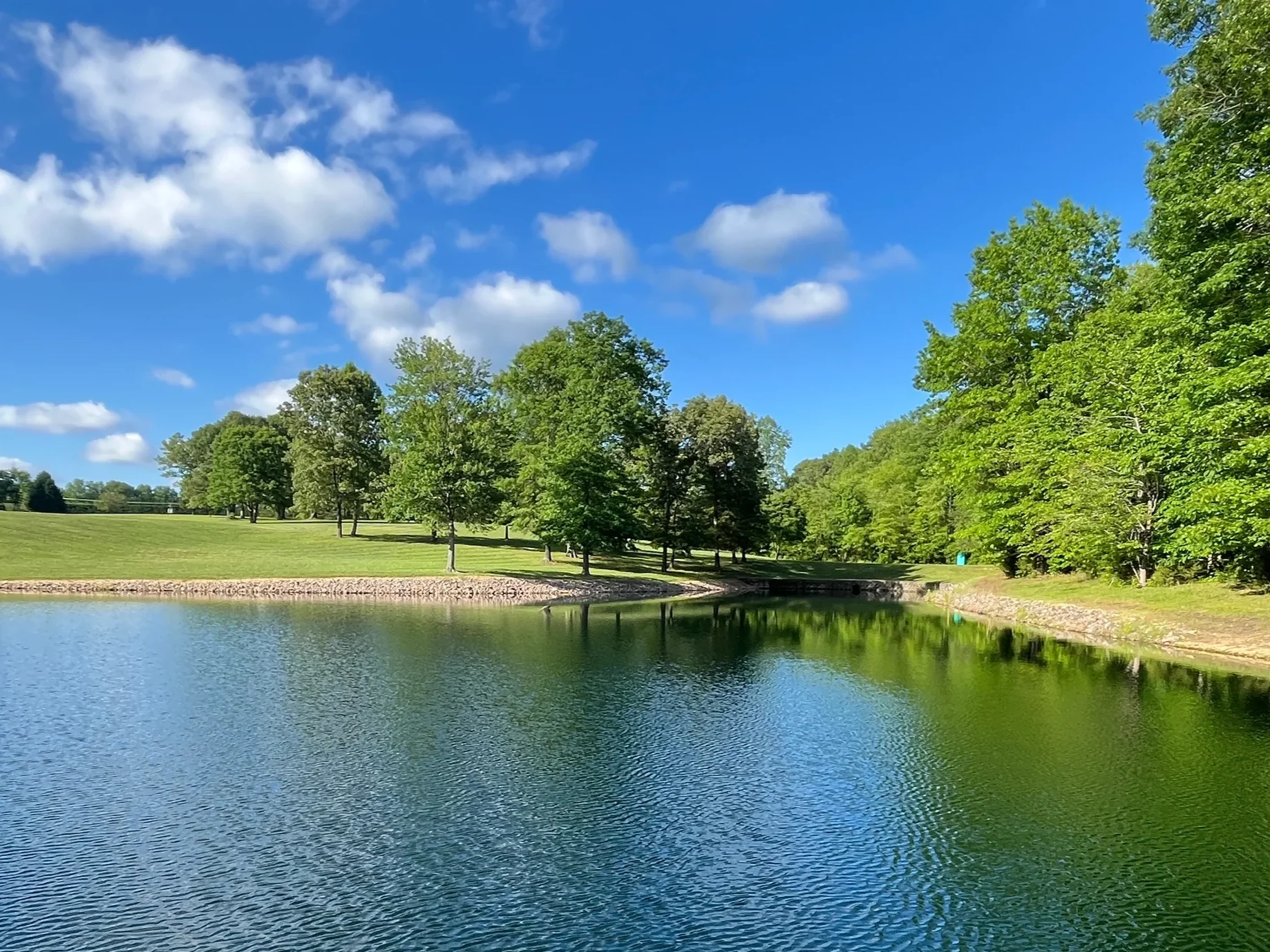 Stormwater pond with riprap edge, grassy bank, and tree-lined shore under bright sunlight, suitable for pond and BMP service pages.