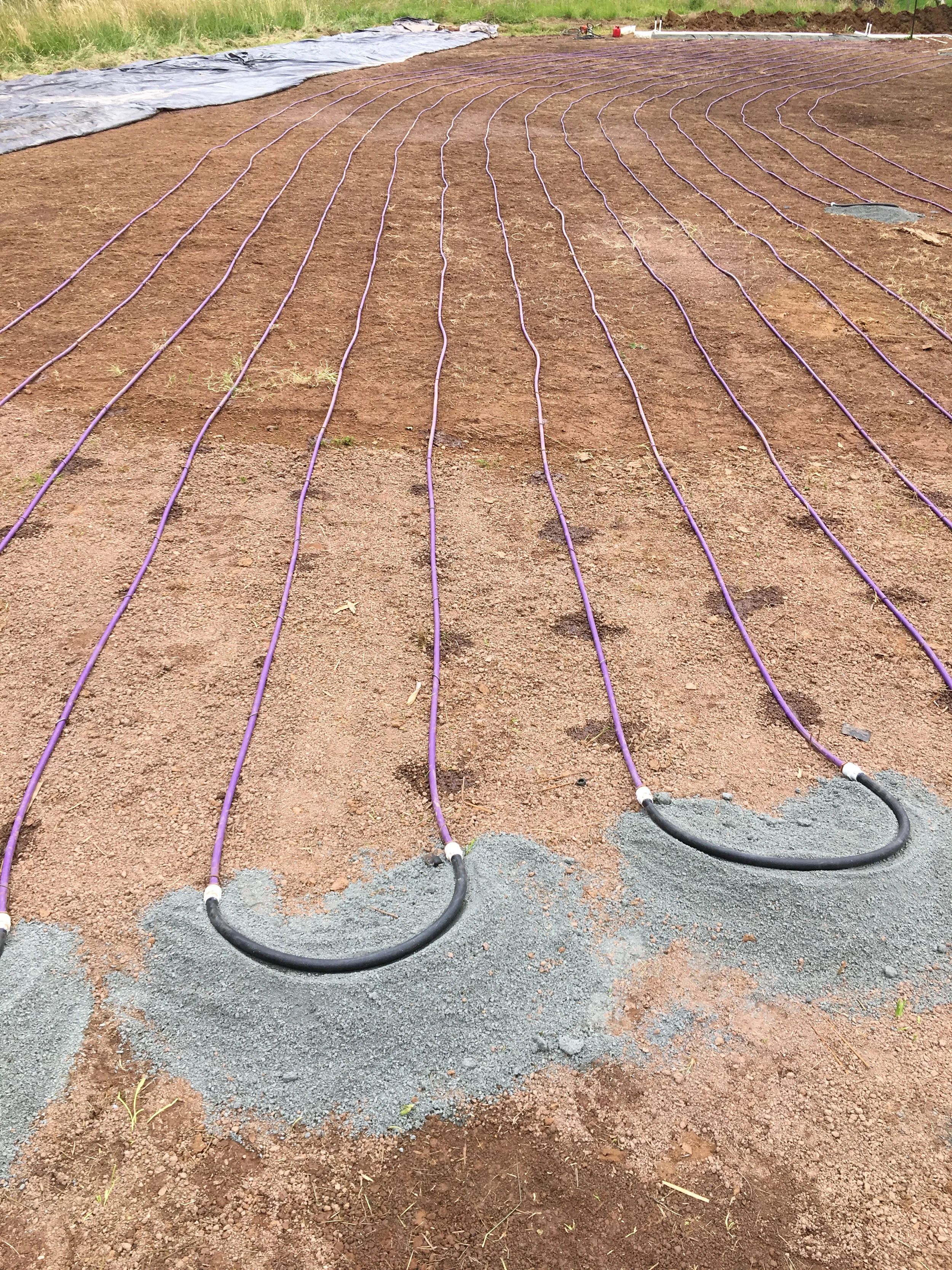 Purple drip dispersal lines fanning out from gravel bedded return loops across a graded septic field during an alternative septic install in Virginia.