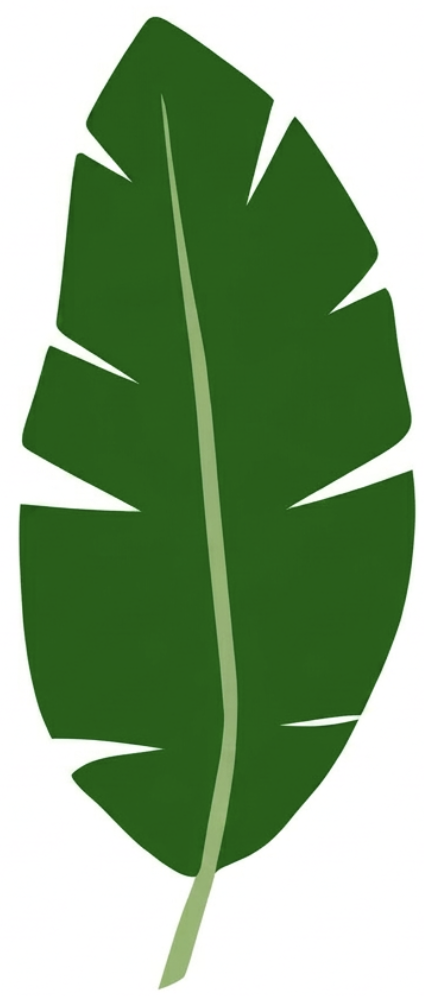 Illustration of a banana leaf