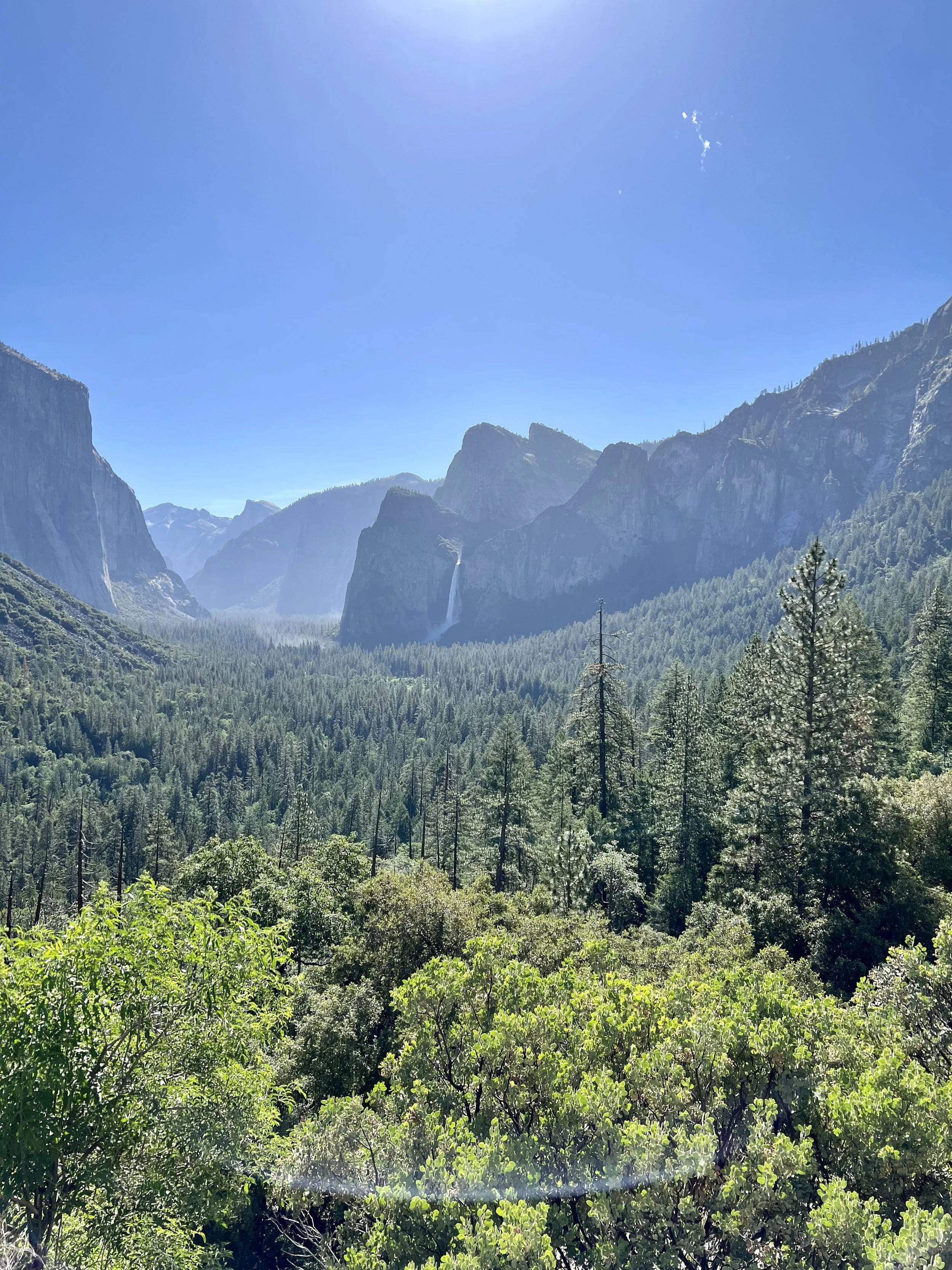 Scenic view of tall green trees and lush mountains with a waterfall in the distance under a clear blue sky.