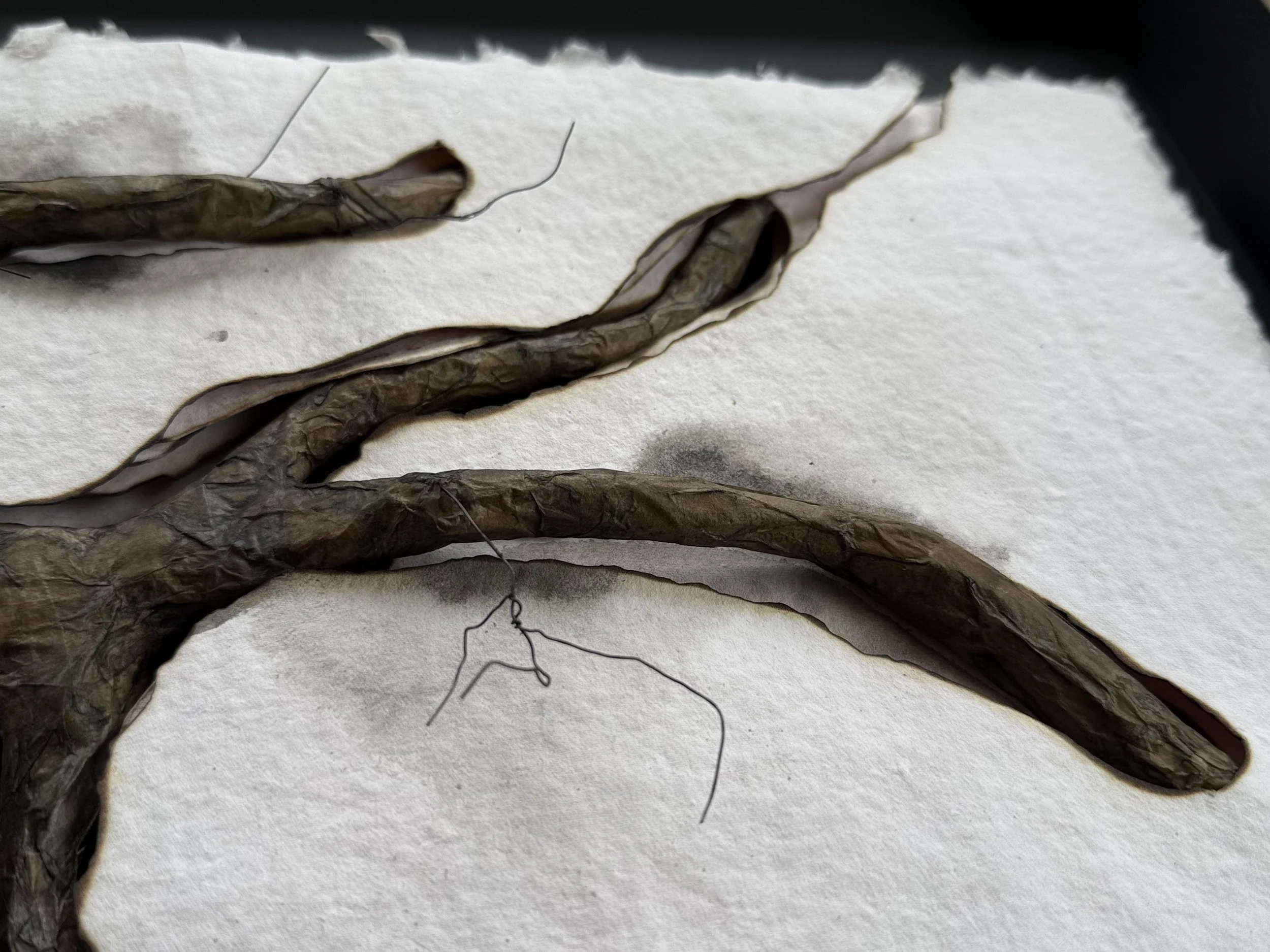 Detail of wire armature and surface textures from Undercurrent by Michelle Gow.
