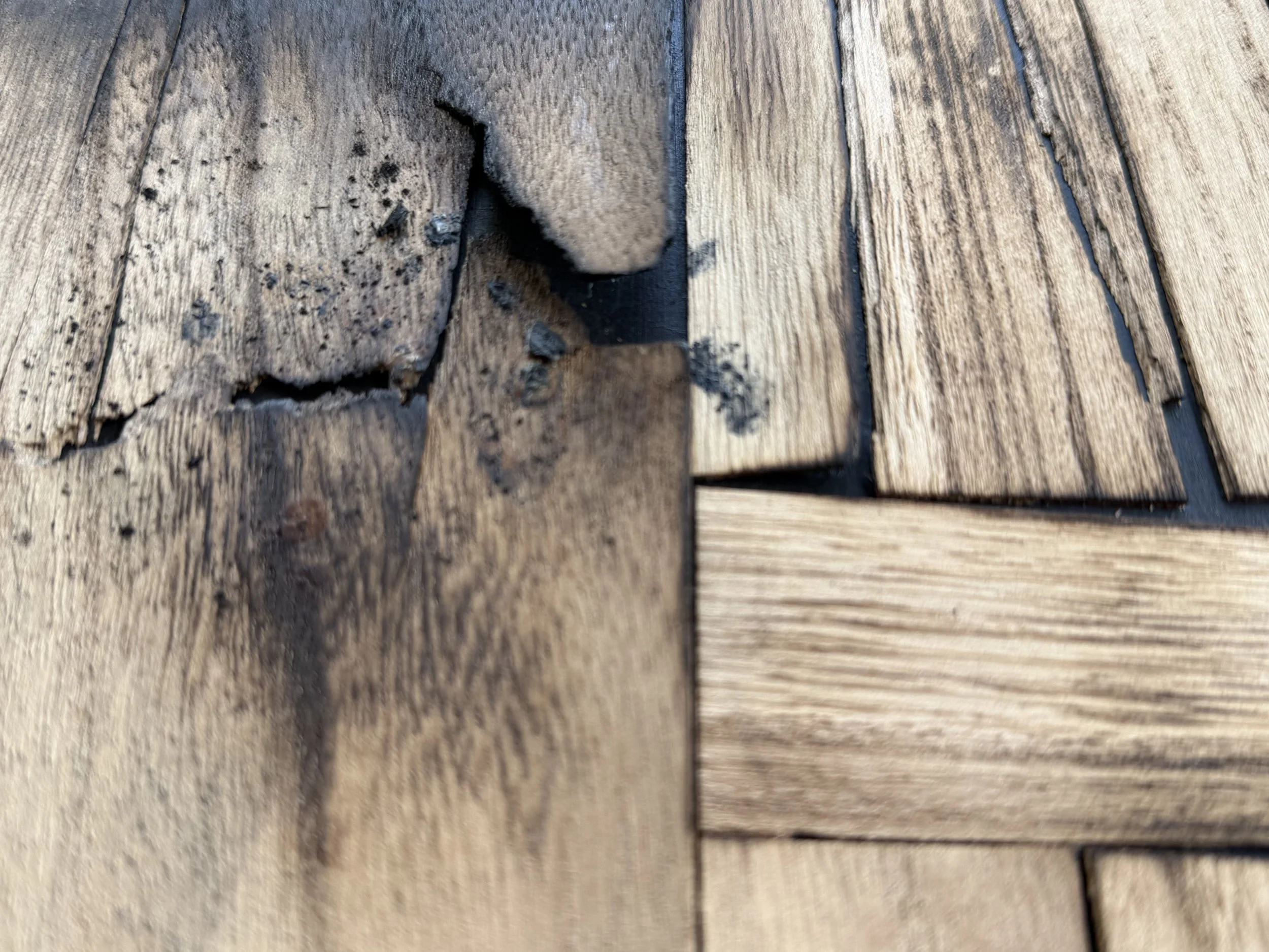 Detail of charred timber from Fault by Michelle Gow.