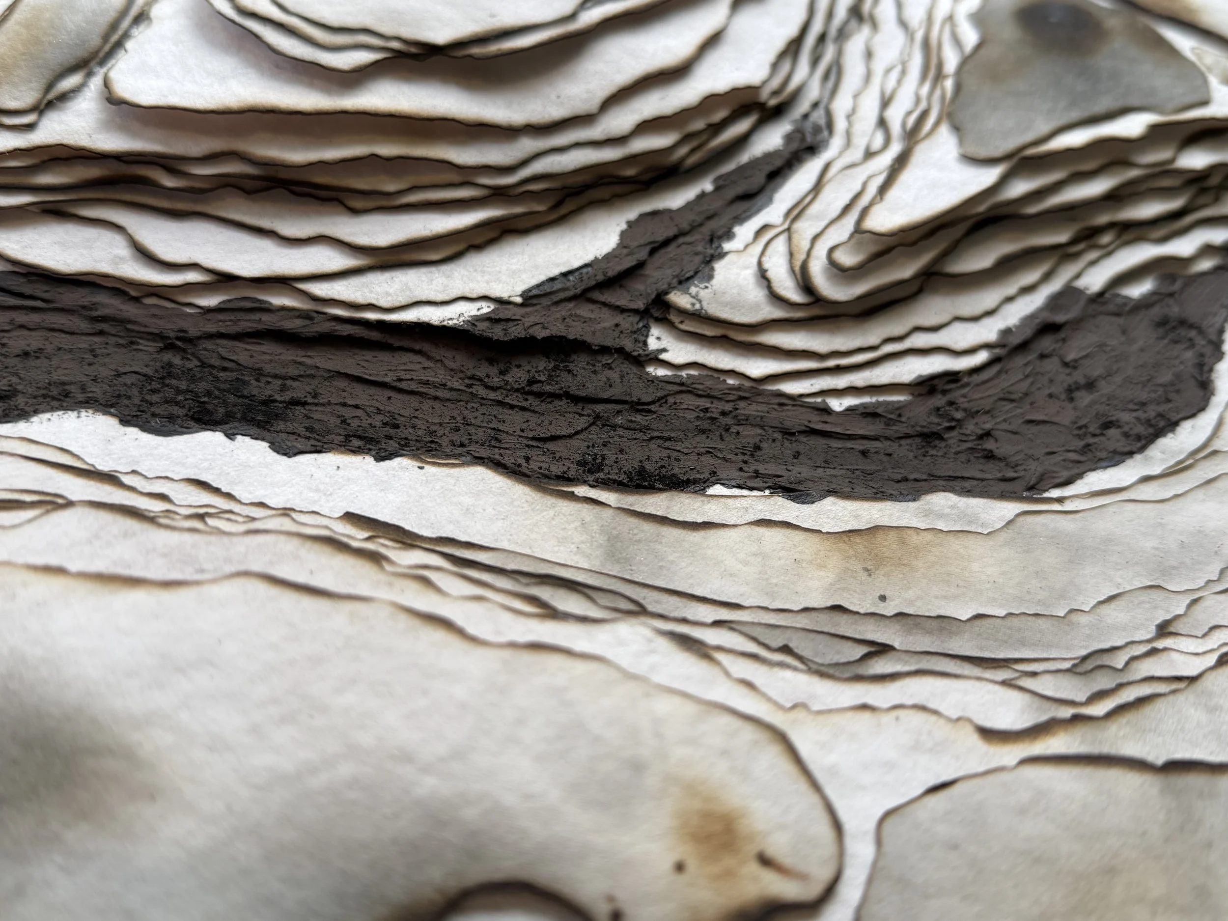 Detail of torn cotton rag paper from Trace by Michelle Gow.