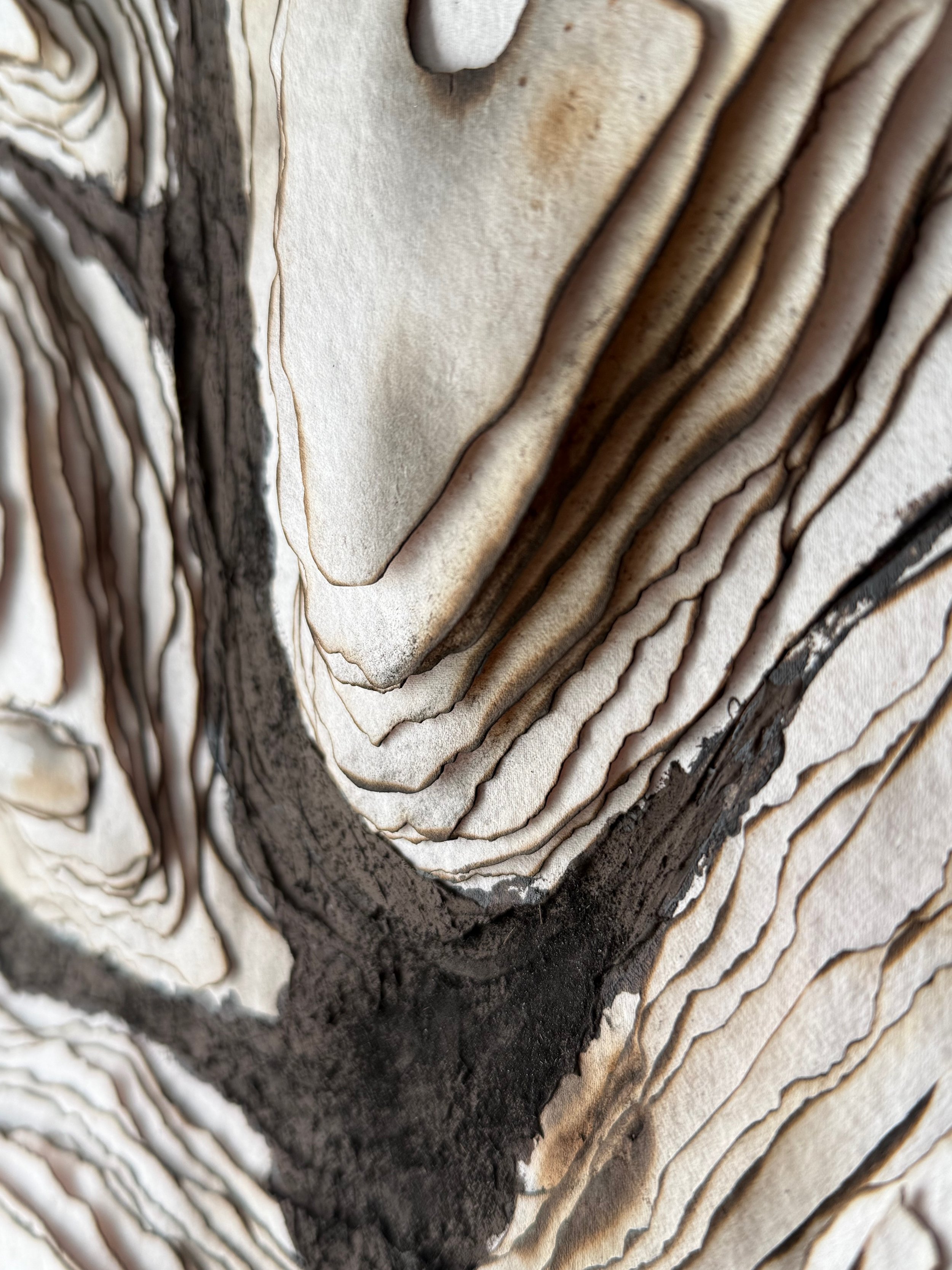 Detail of torn cotton rag paper from Trace by Michelle Gow.
