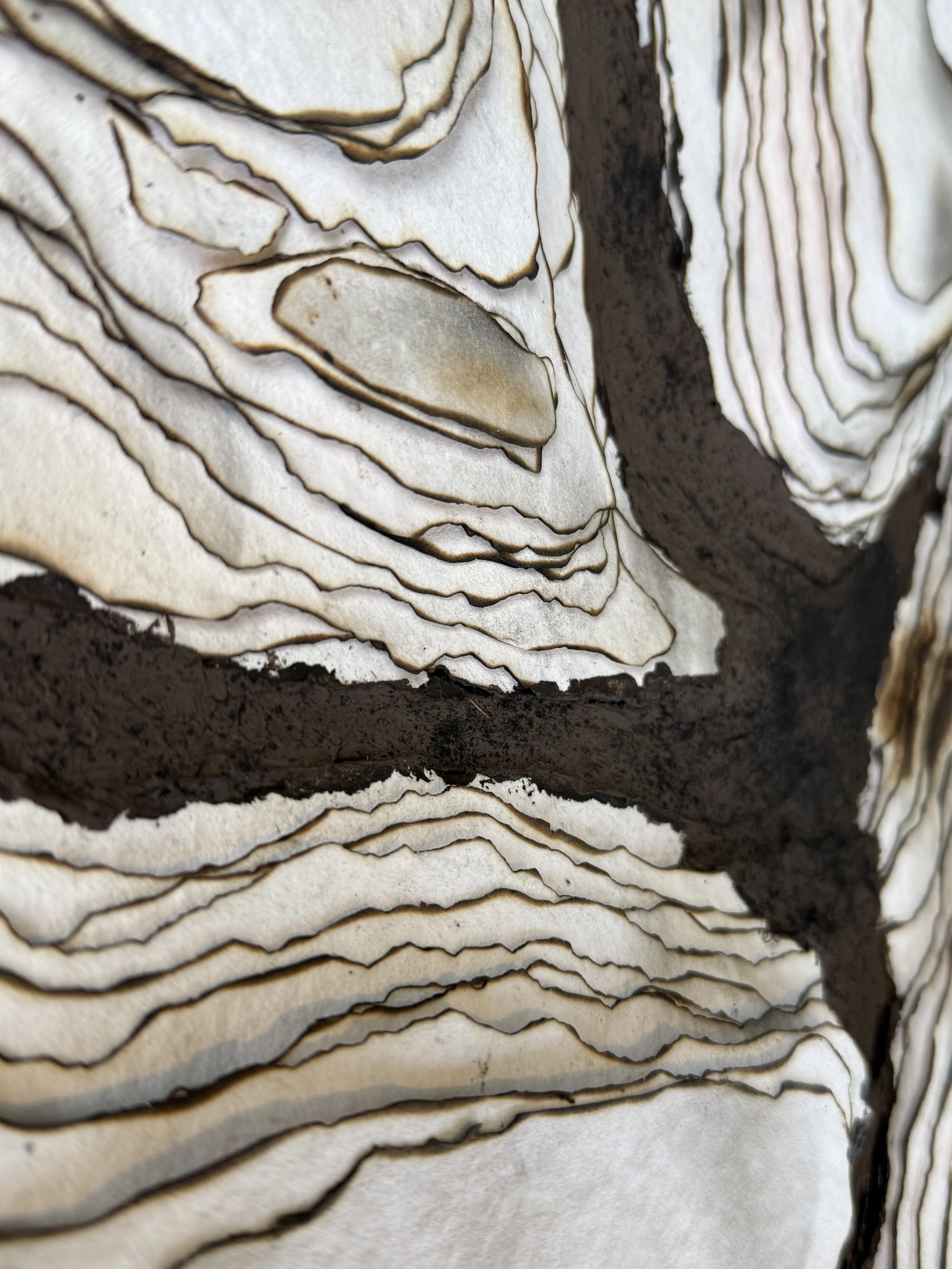 Detail of torn cotton rag paper from Trace by Michelle Gow.