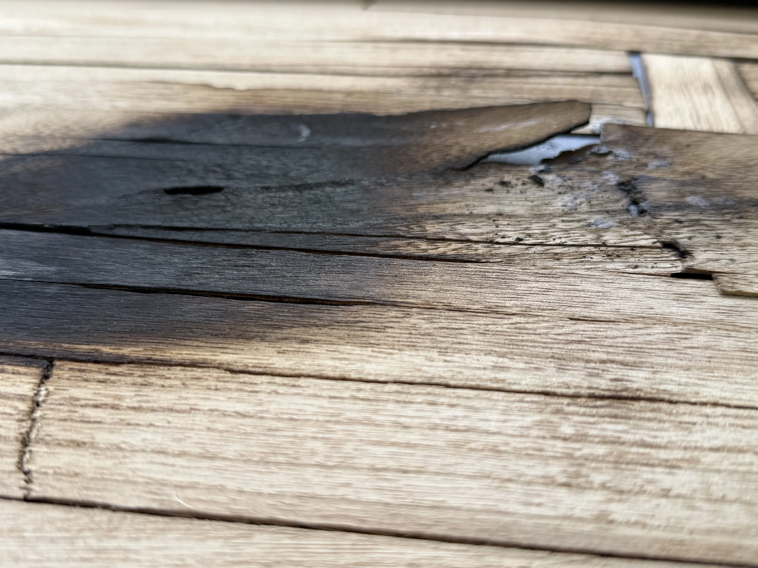 Detail of charred timber from Fault by Michelle Gow.
