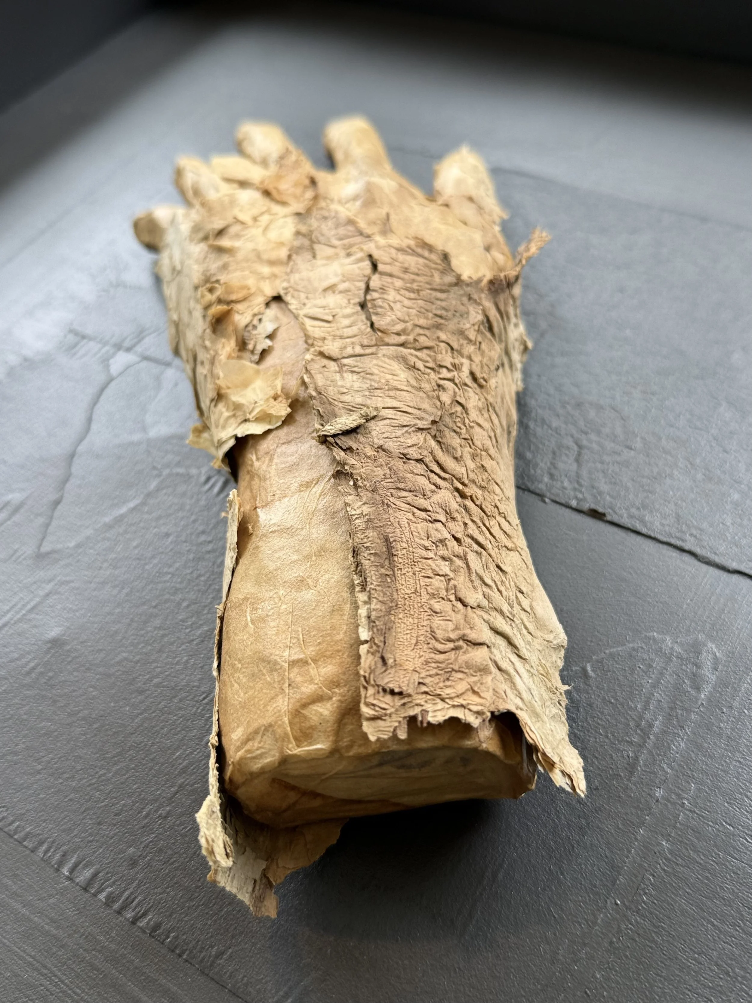 Detail of sculptural hand form from Release by Michelle Gow.