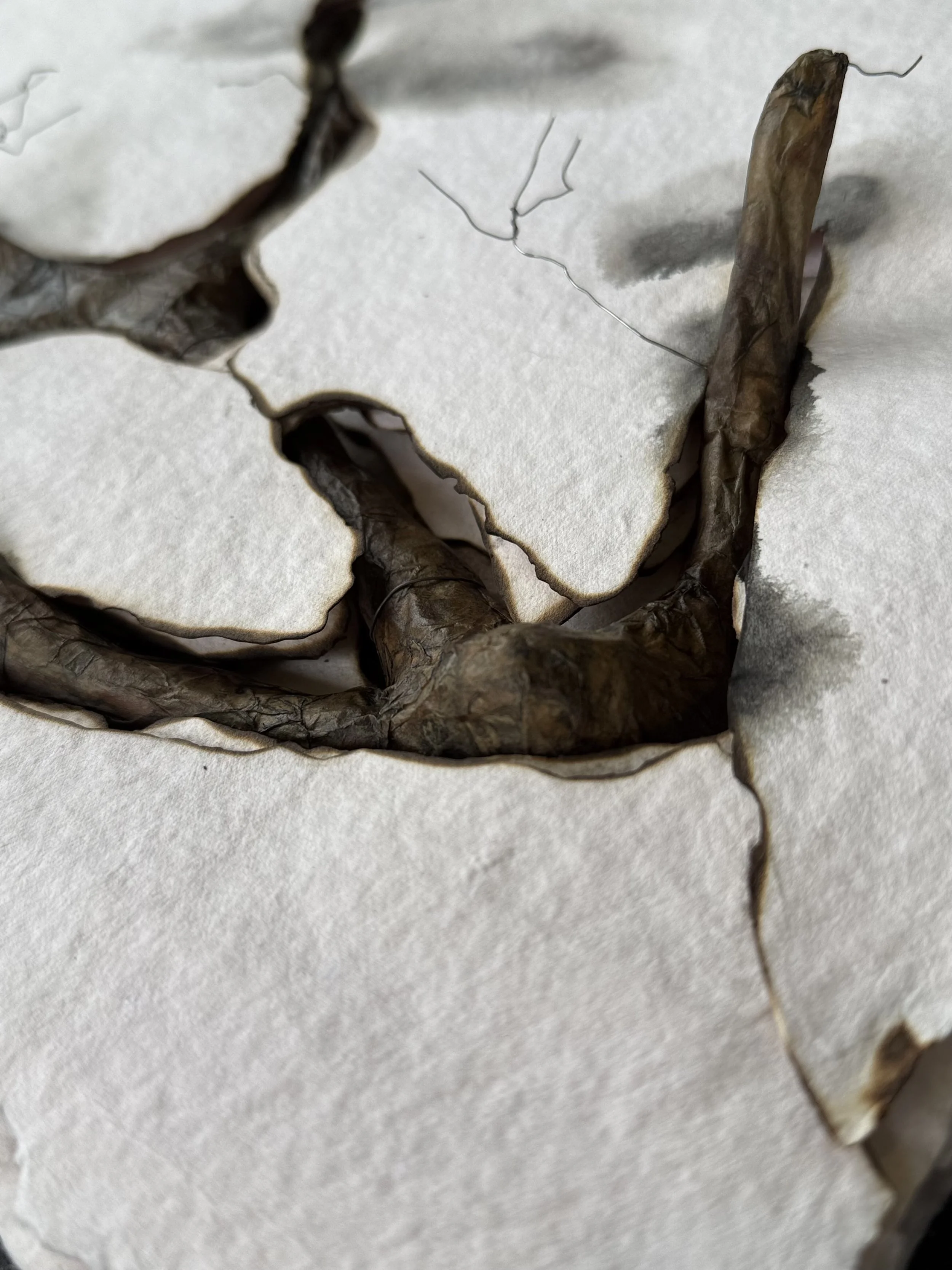 Detail of wire armature and surface textures from Undercurrent by Michelle Gow.