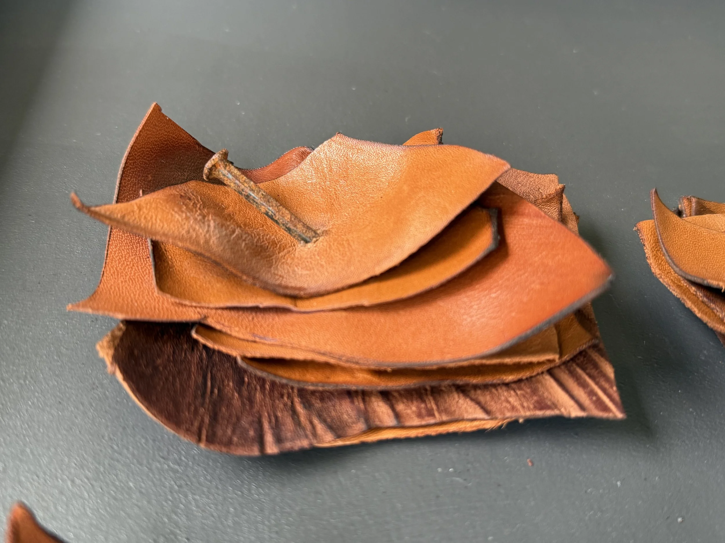 Detail of layered leather elements from Scar Tissue by Michelle Gow.