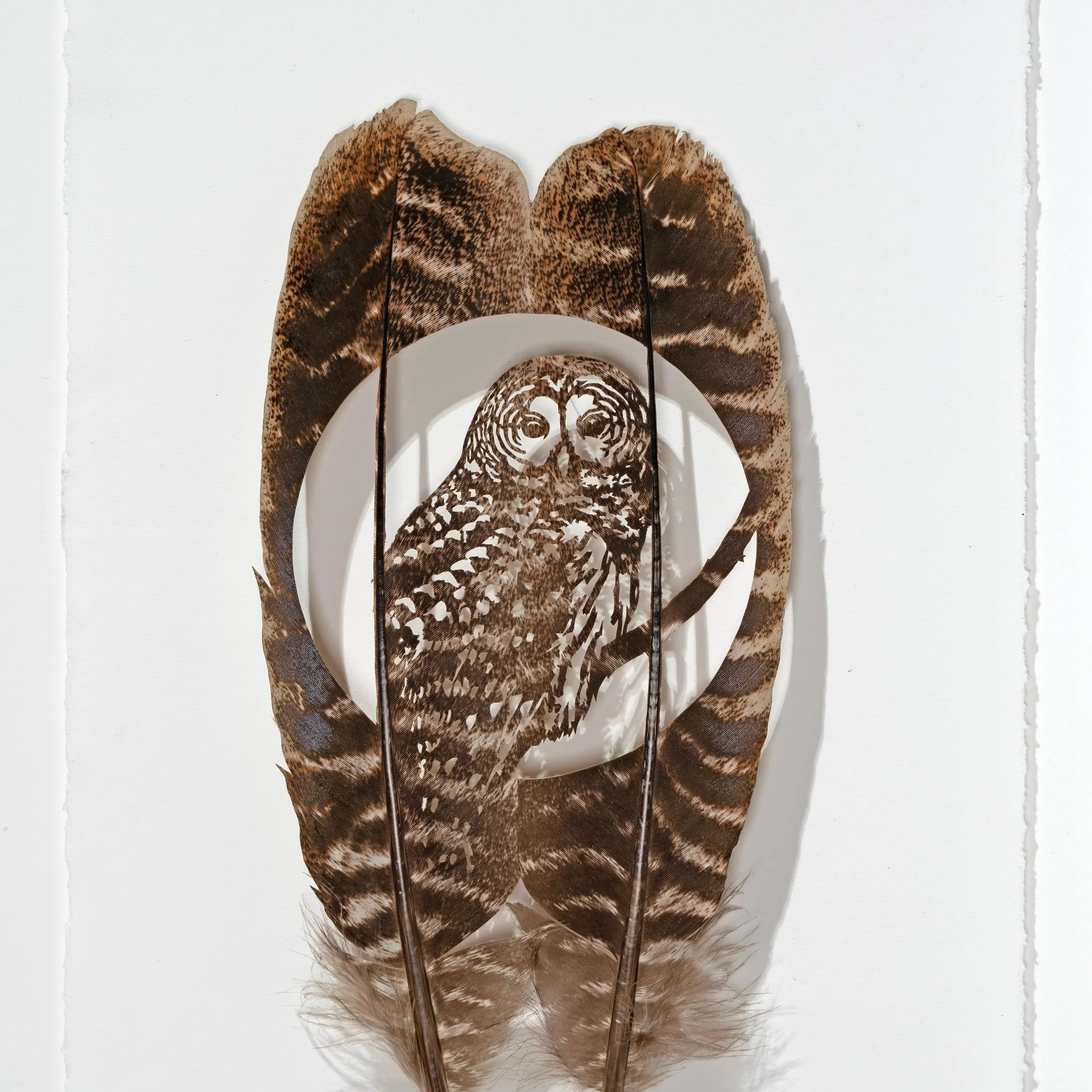 Owl+Moon.jpg