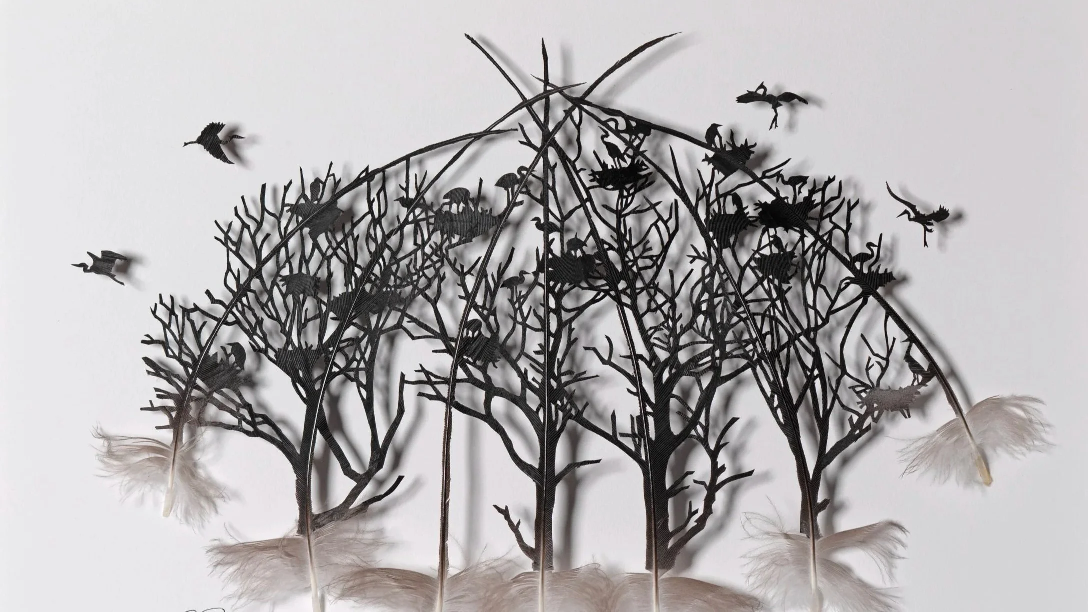 Return+to+the+Rookery.jpg