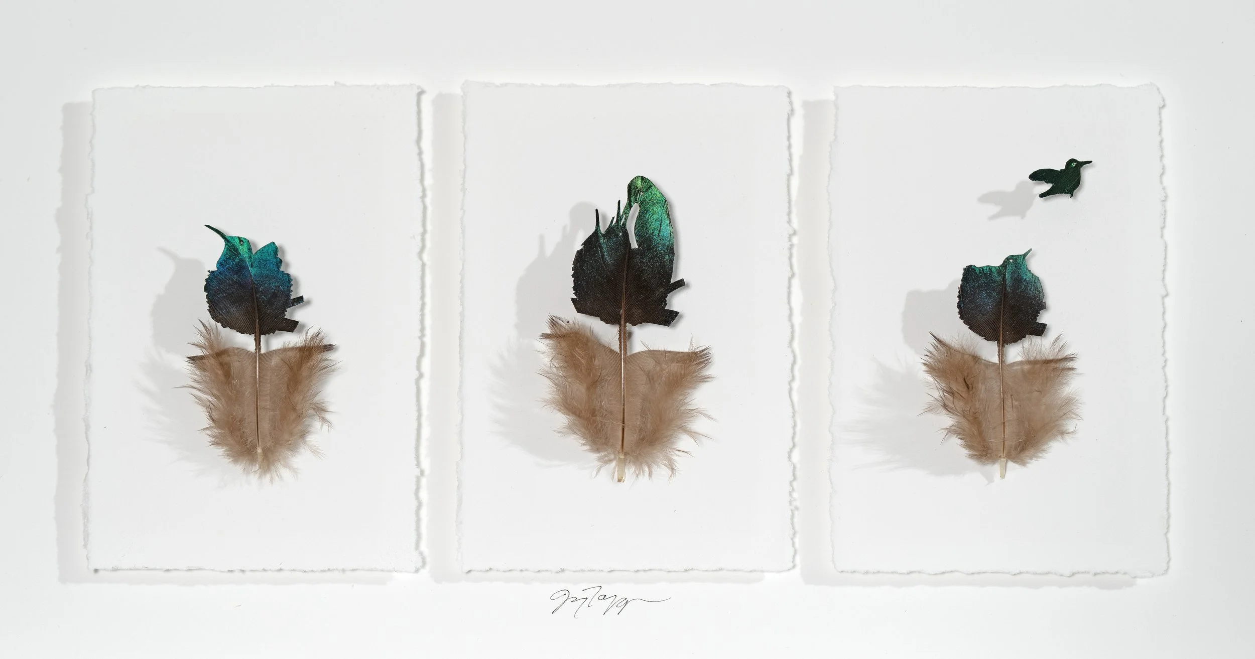 Hummingbird Triptych.jpg