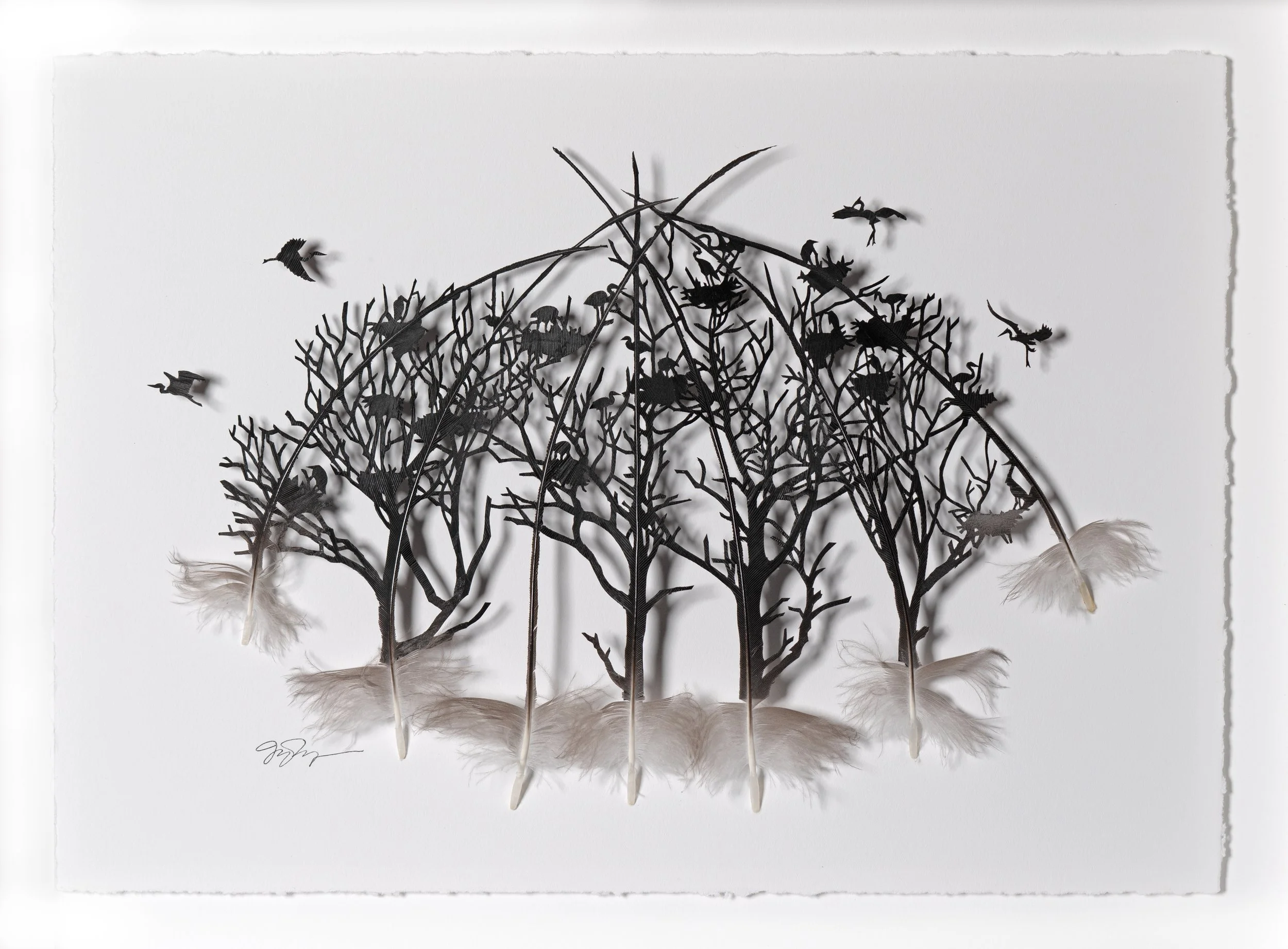 Return To The Rookery