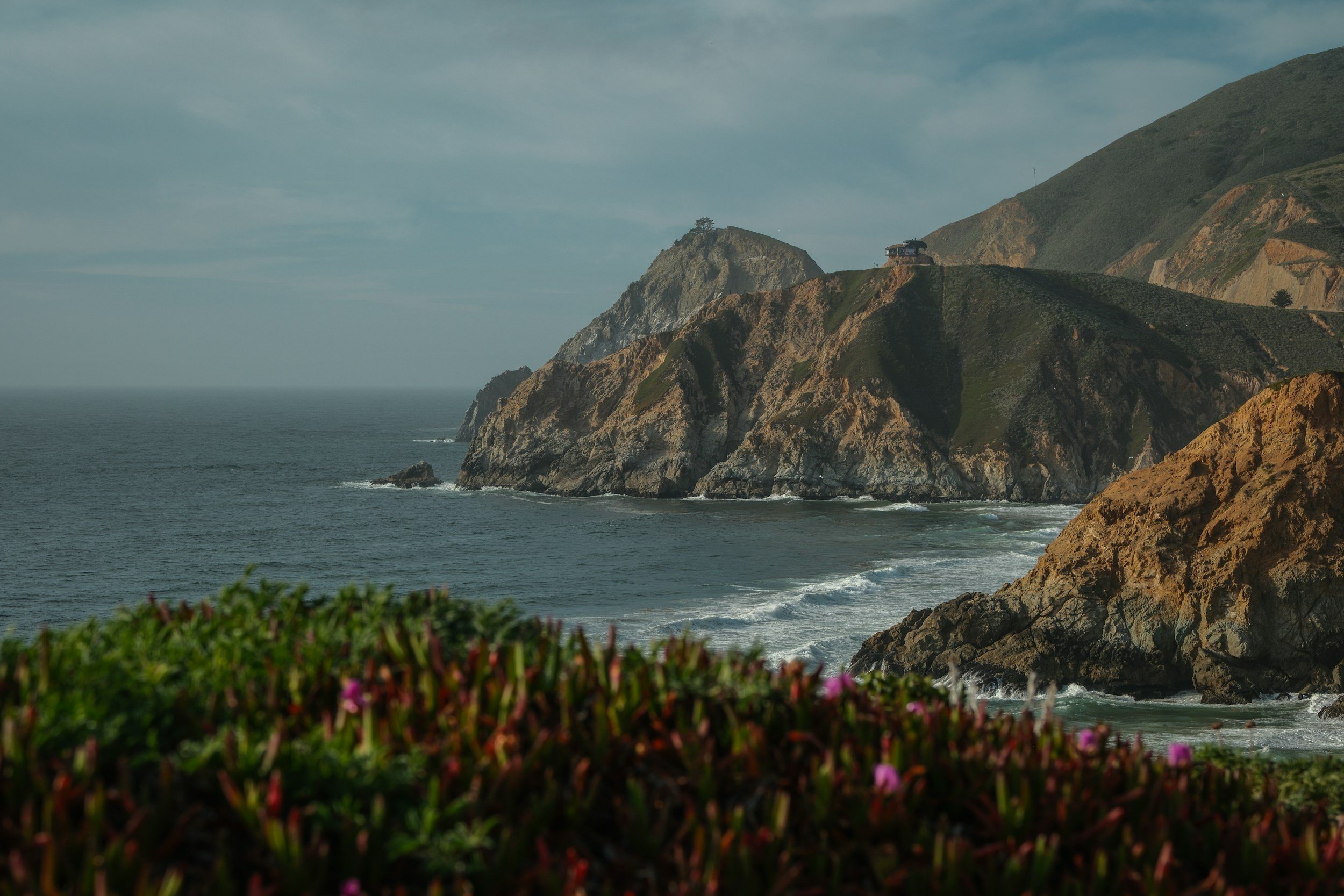 A rugged coastline with high cliffs and a building on the edge, overlooking the ocean. Green shrubbery and pink flowers in the foreground.