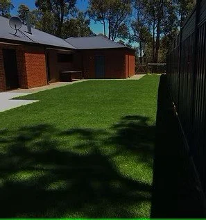 A backyard with green grass, brick building in the background, and tall trees behind the building. There is a shadow of a fence on the grass and a pathway on the left side.
