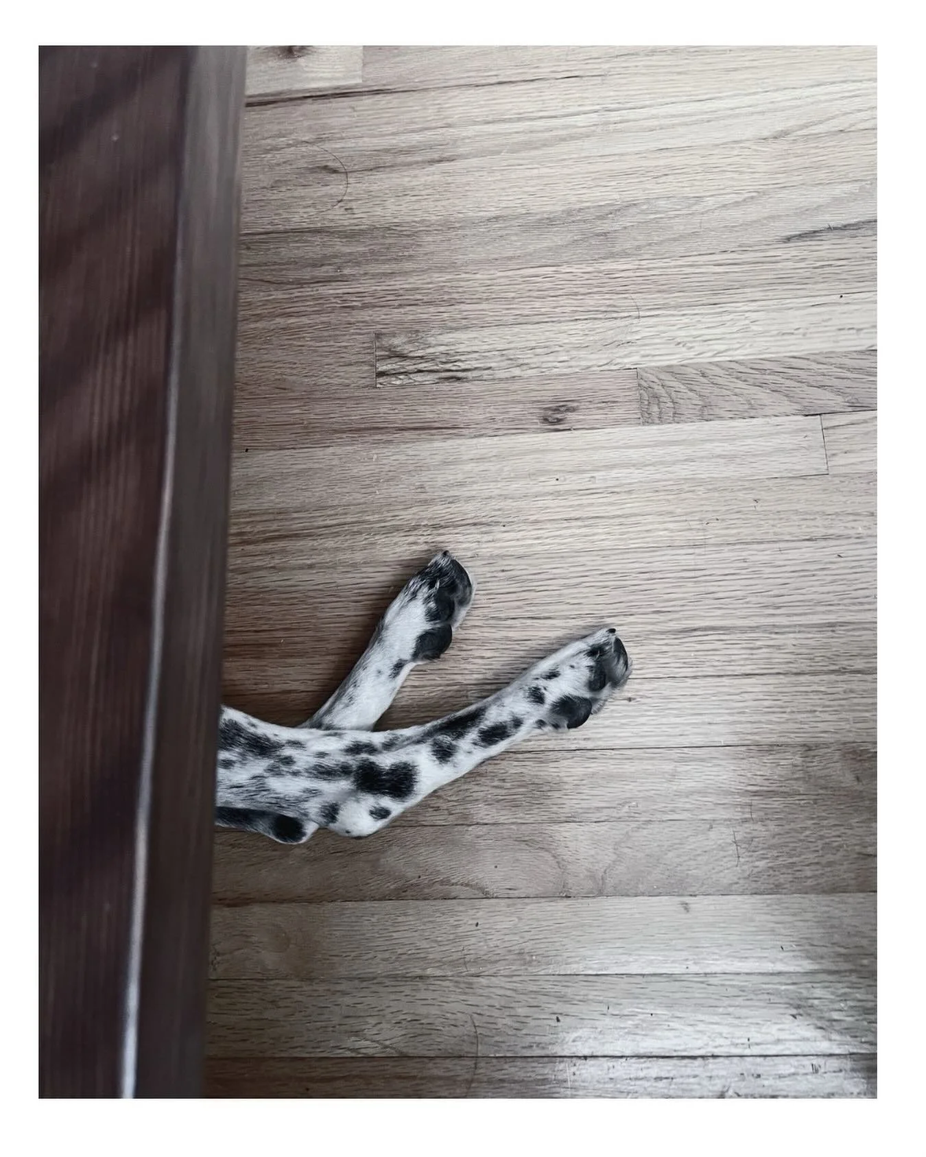 Hide and Hide