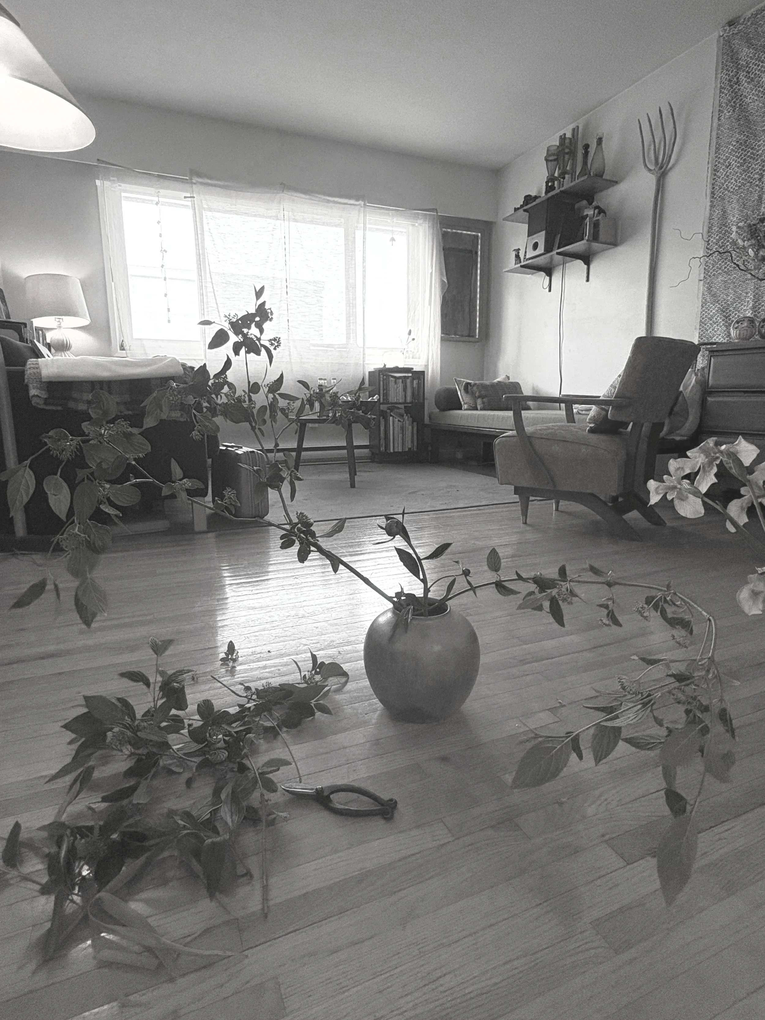 image10.jpg