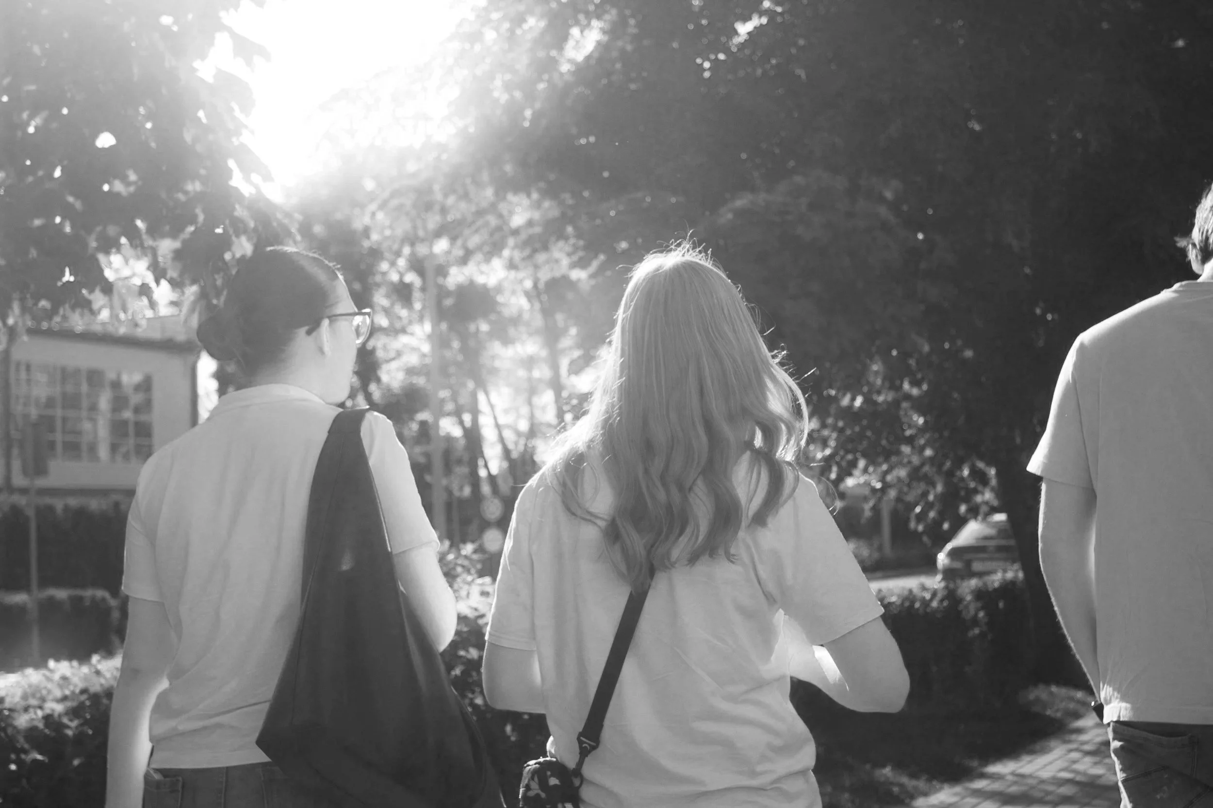 Four people walking outdoors with sunlight filtering through trees, seen from behind in black and white.