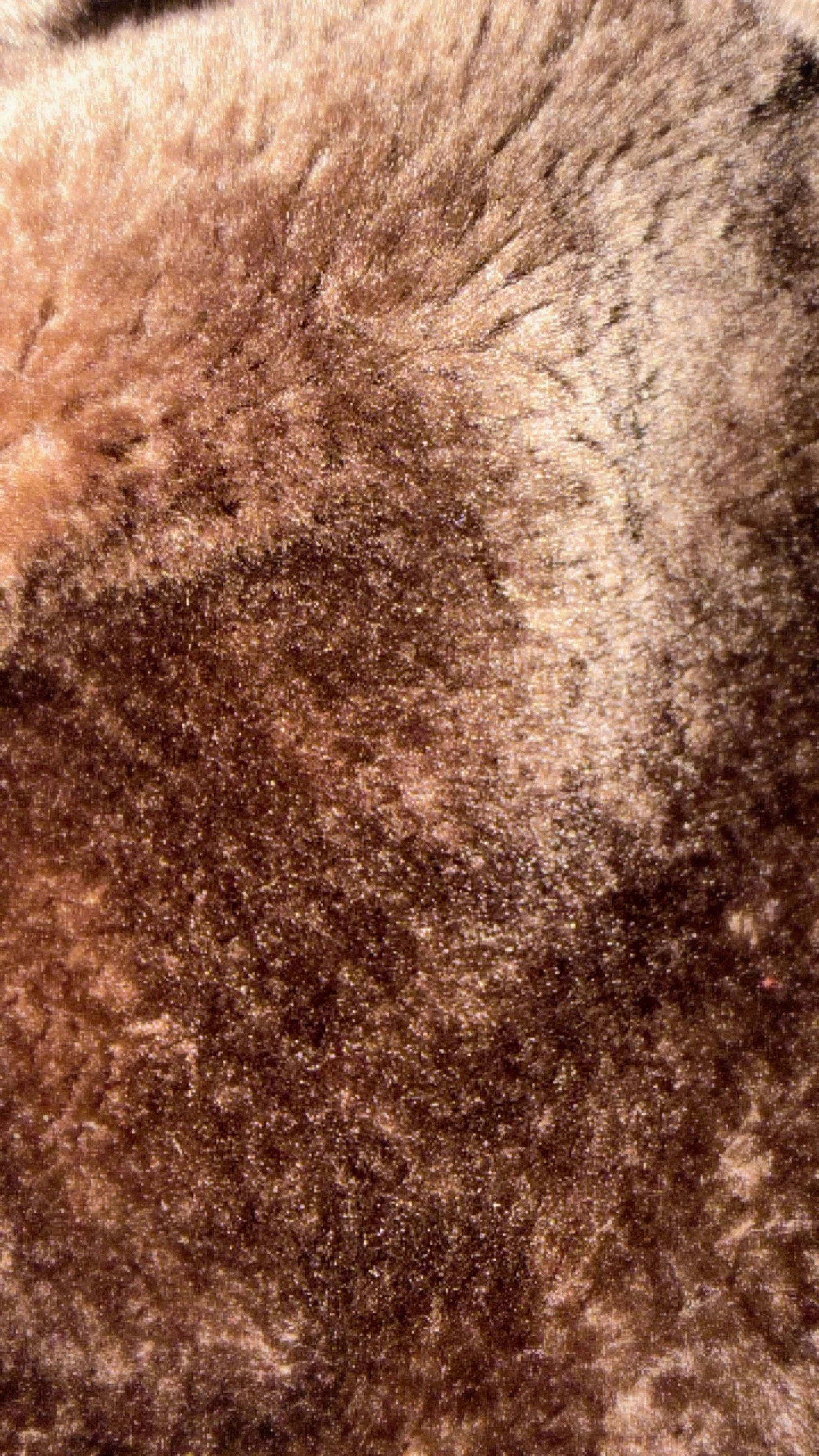 E96C8920-29E8-4B32-AE12-247FE98AEC08.jpg