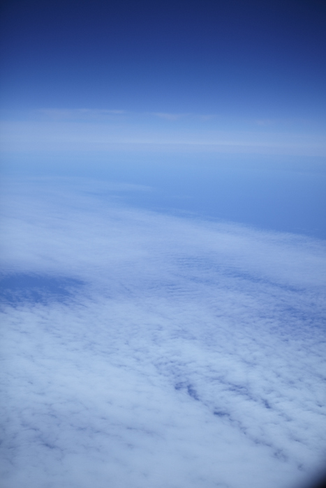 _MG_6216.jpg