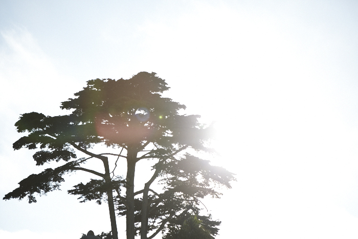 _MG_5178.jpg