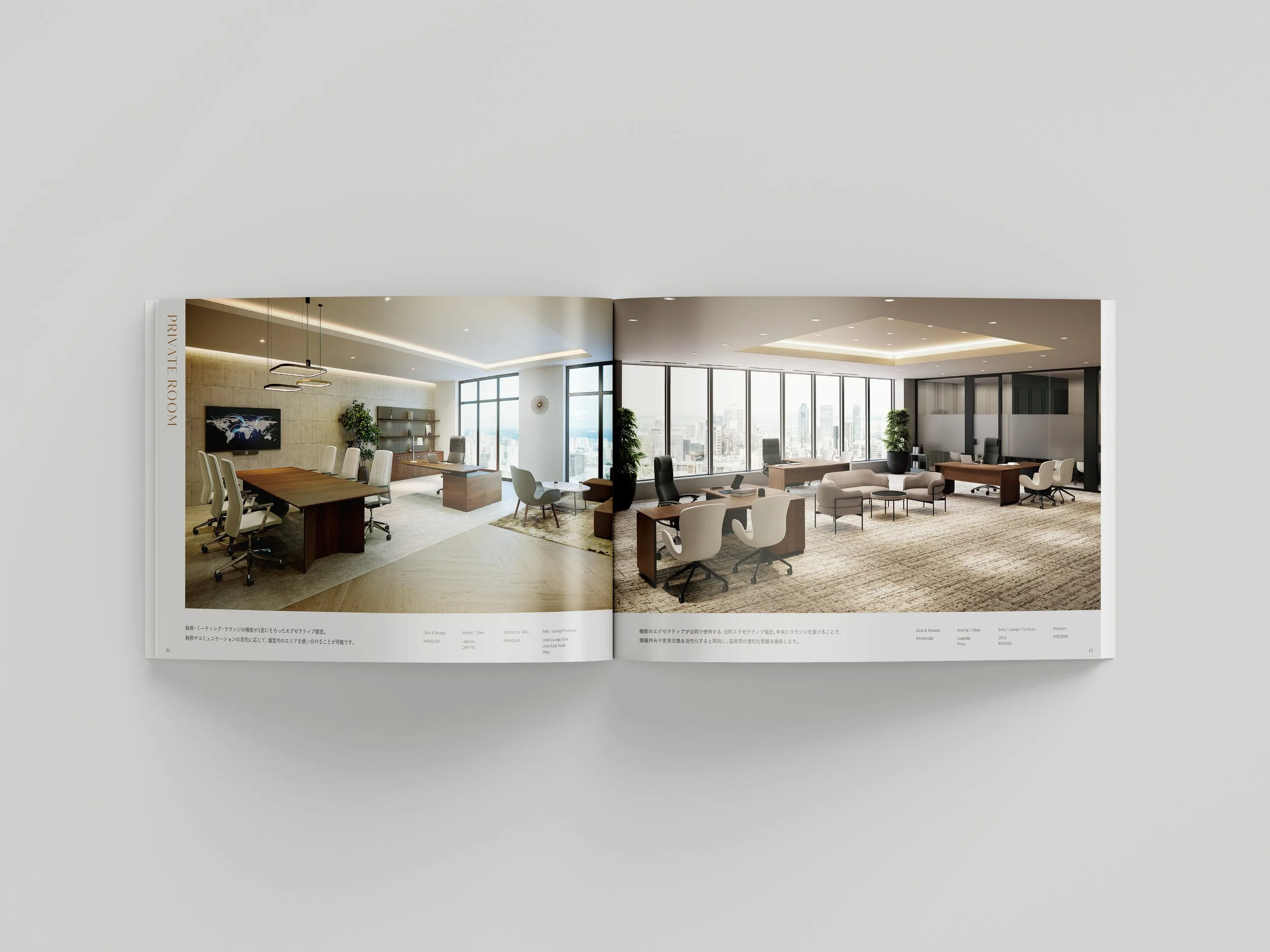 executive_conceptbook_02.jpg
