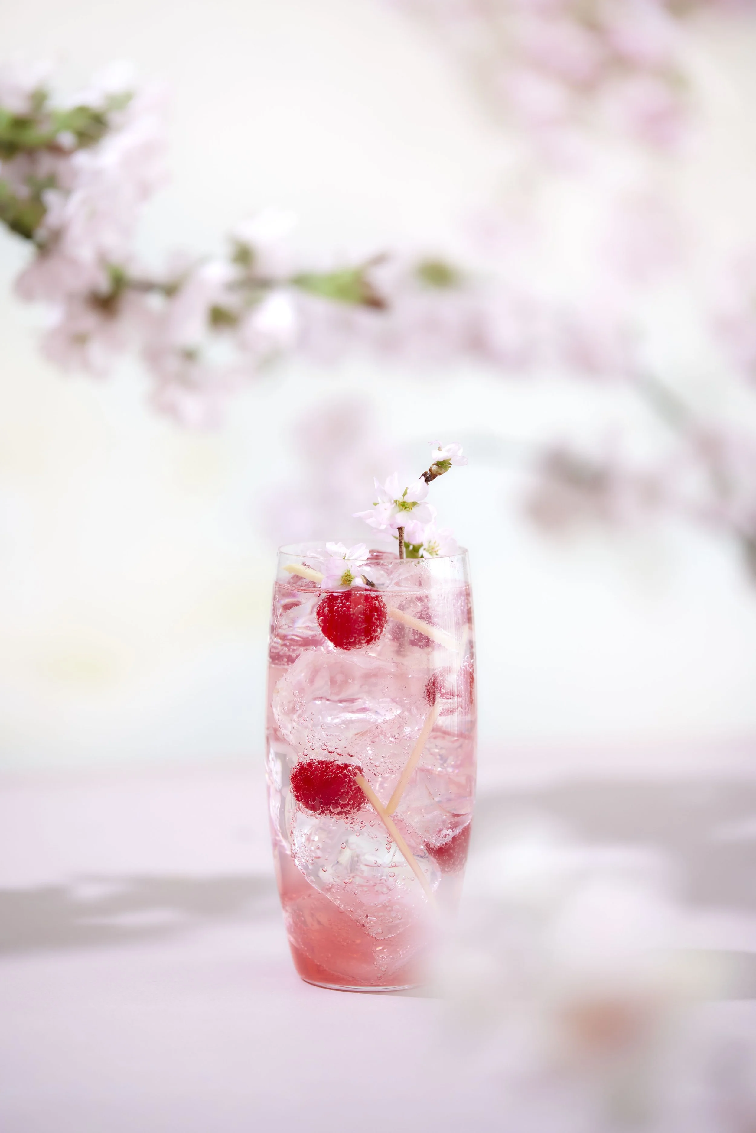 250130_SUNTORY_ROKU0264_セレクト.jpg