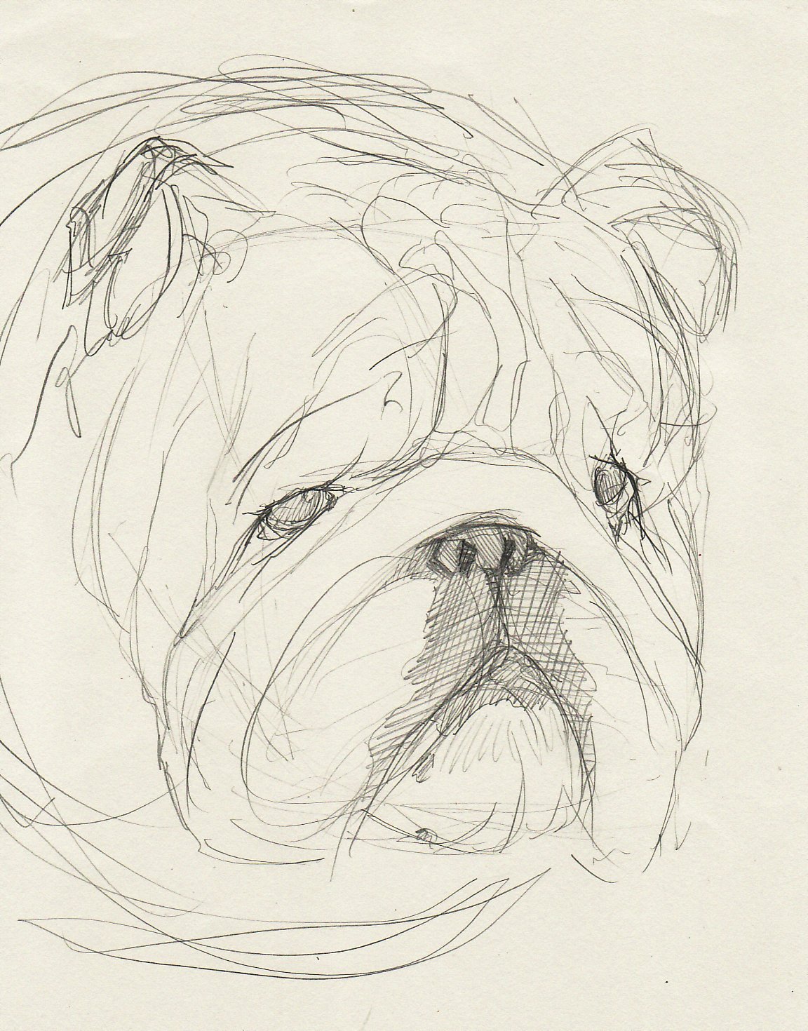 roughdog3.jpg
