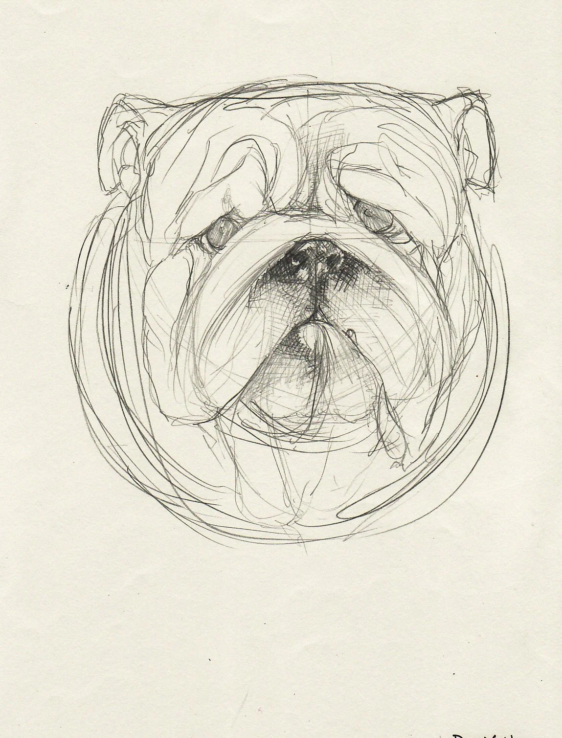 roughdog.jpg